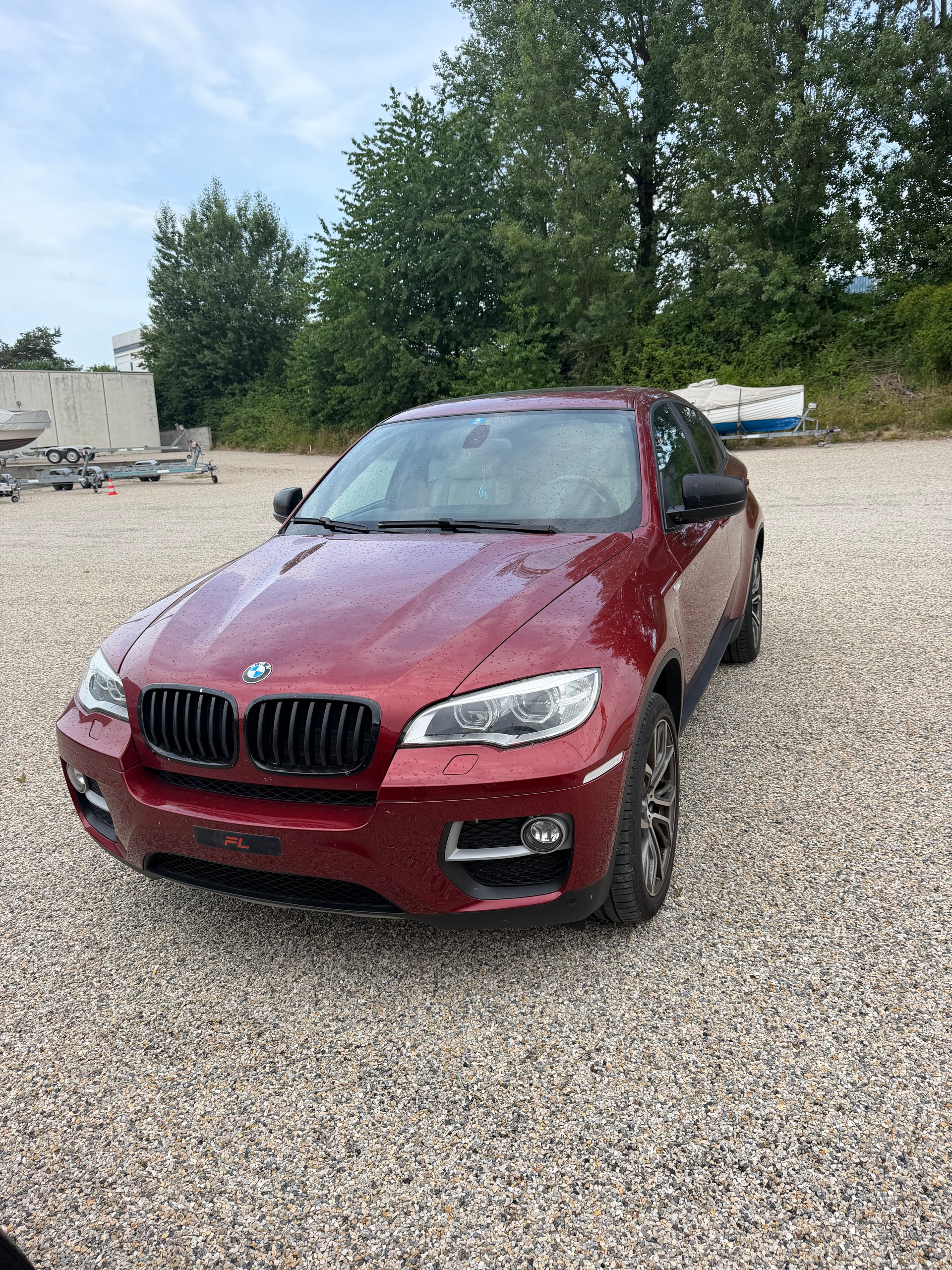 BMW X6 xDrive 30d Steptronic-image-1