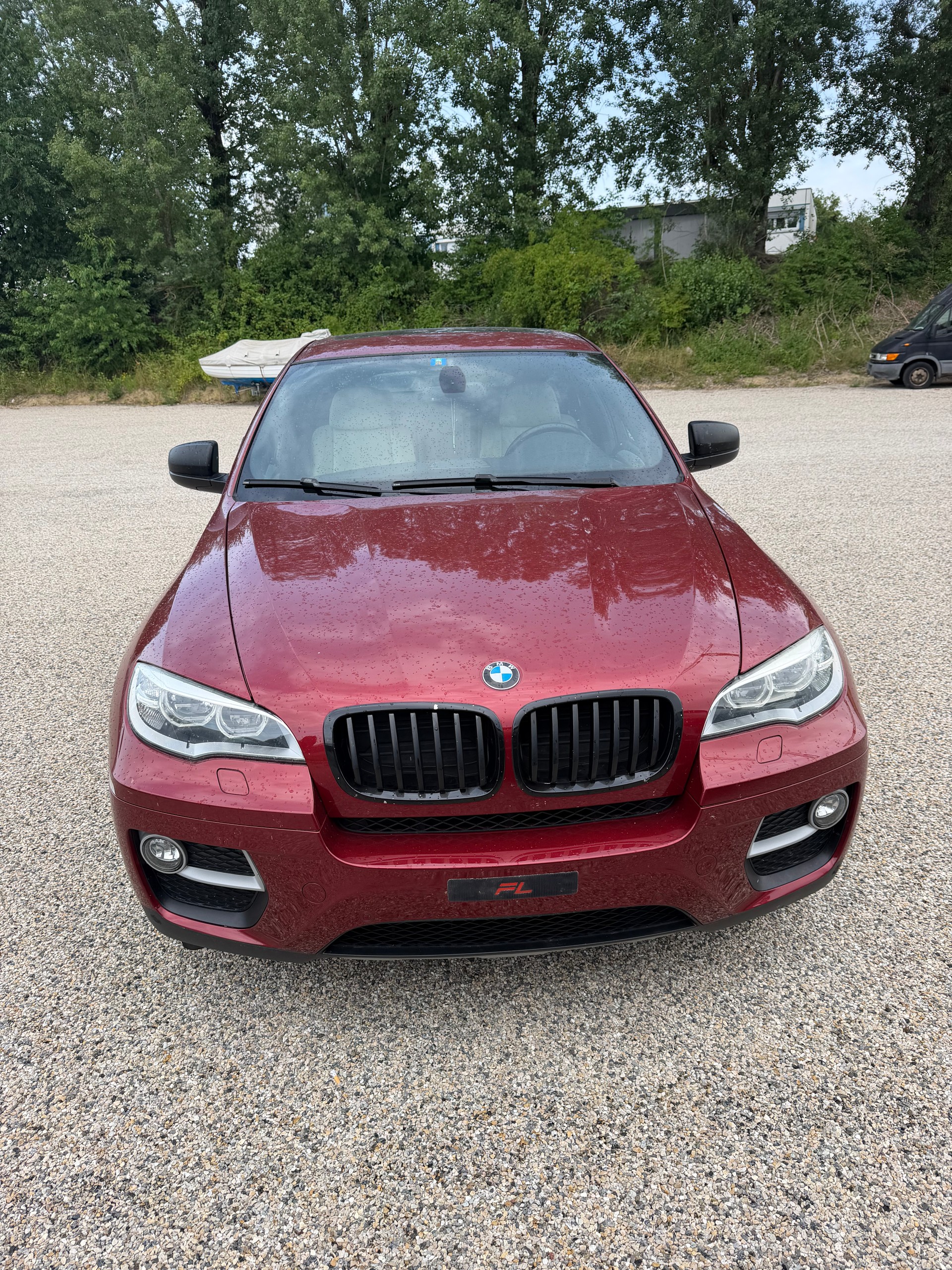 BMW X6 xDrive 30d Steptronic-image-2