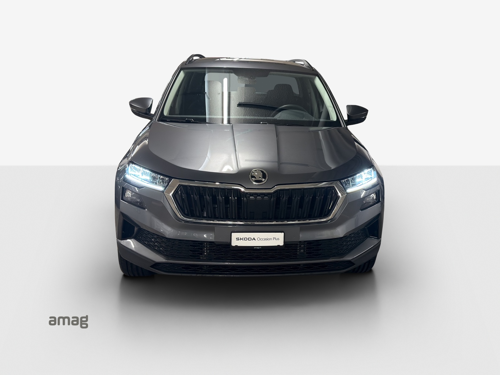SKODA Karoq 1.5 TSI Ambition DSG-image-6
