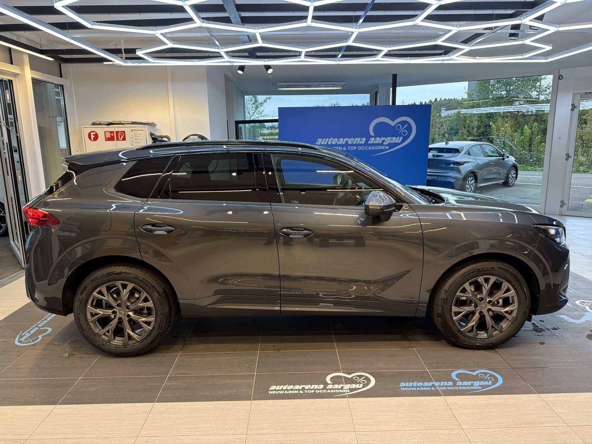 CUPRA Terramar 1.5 eTSi DSG-Automat-image-11