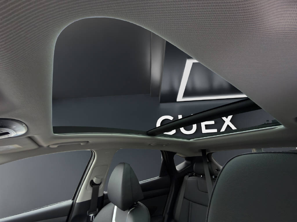 HYUNDAI Tucson 1.6 T-GDi HEV Vertex Swiss Edition 4WD-image-14