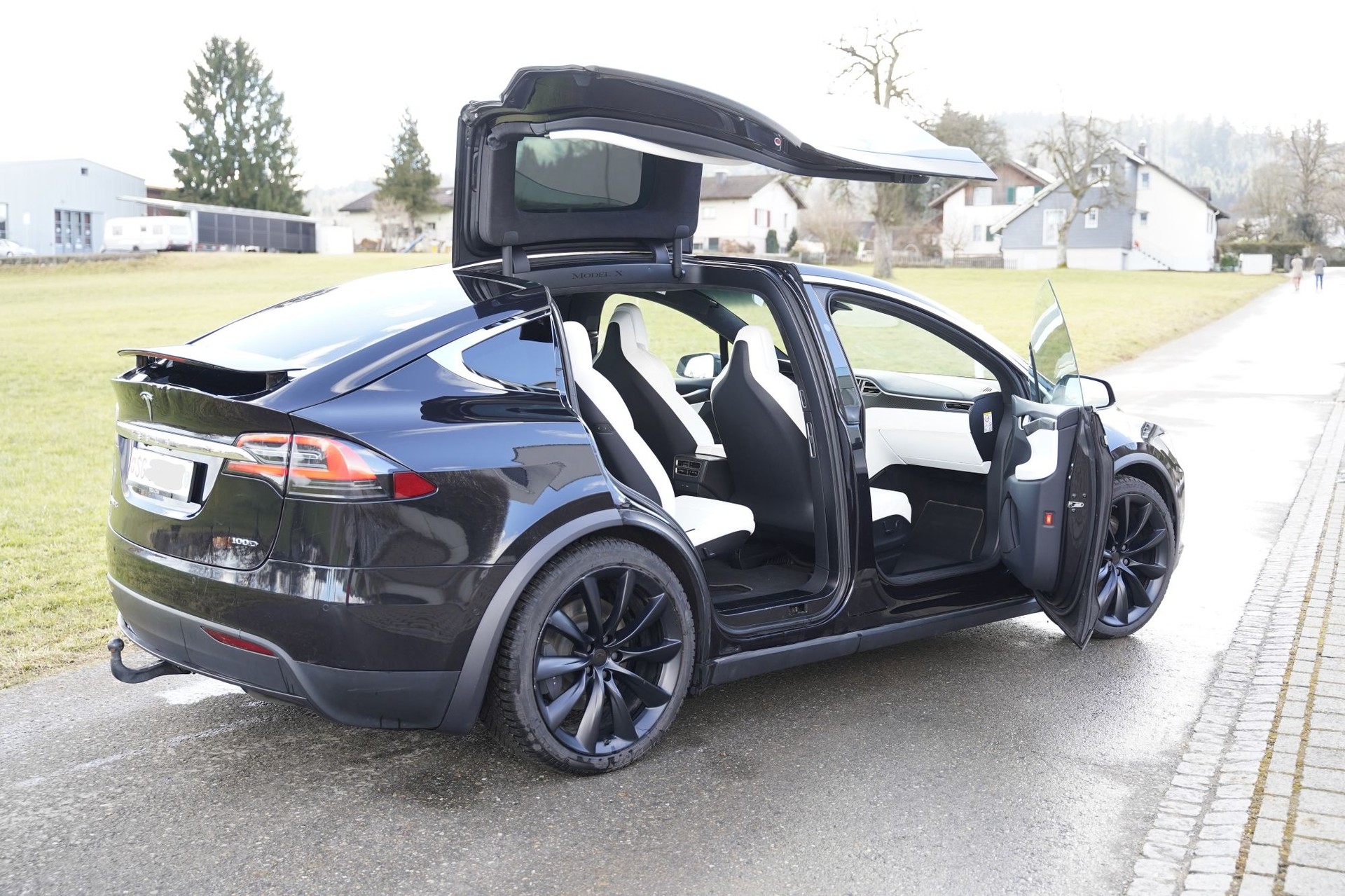 TESLA Model X 100 D-image-3