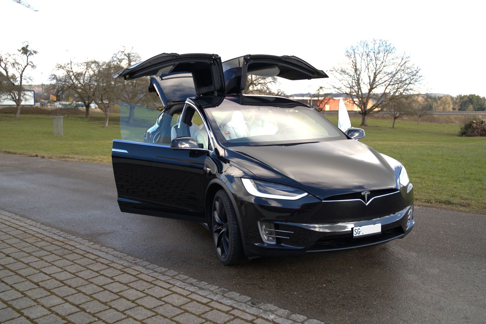 TESLA Model X 100 D-image-4