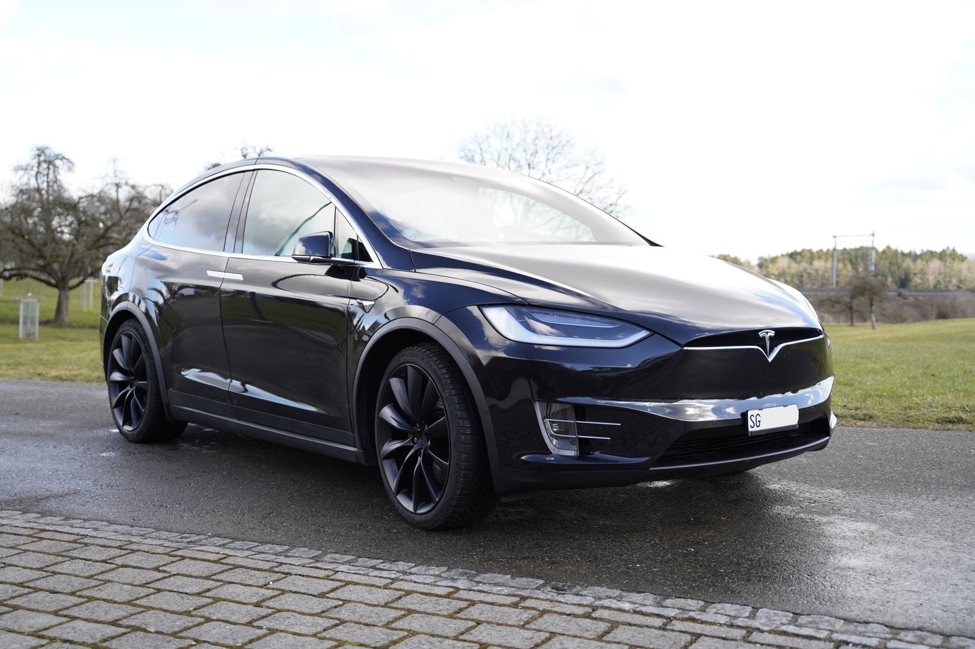 TESLA Model X 100 D-image-1