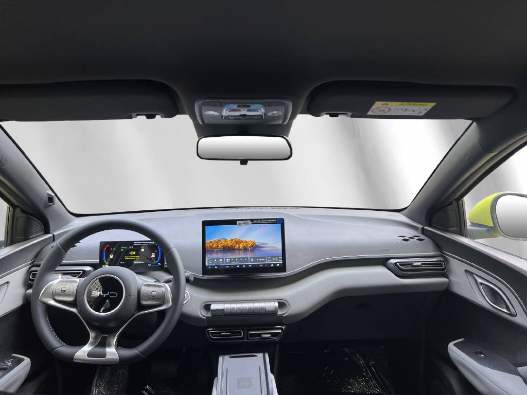 BYD Dolphin Surf Comfort-image-4
