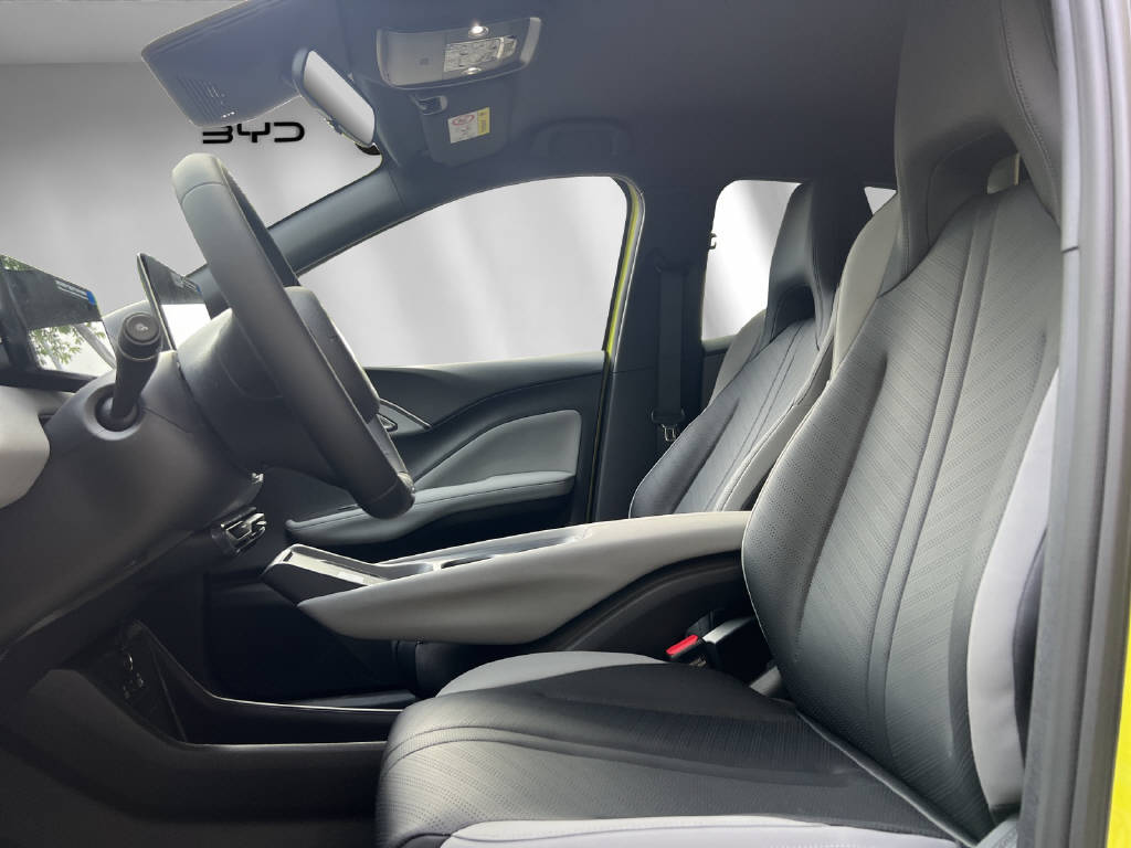 BYD Dolphin Surf Comfort-image-3
