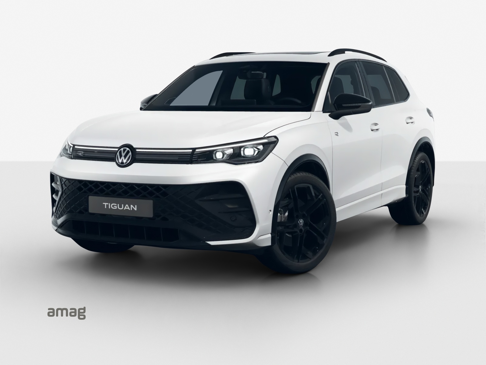VW Tiguan 2.0 TSI DSG R-Line 4Motion-image-0