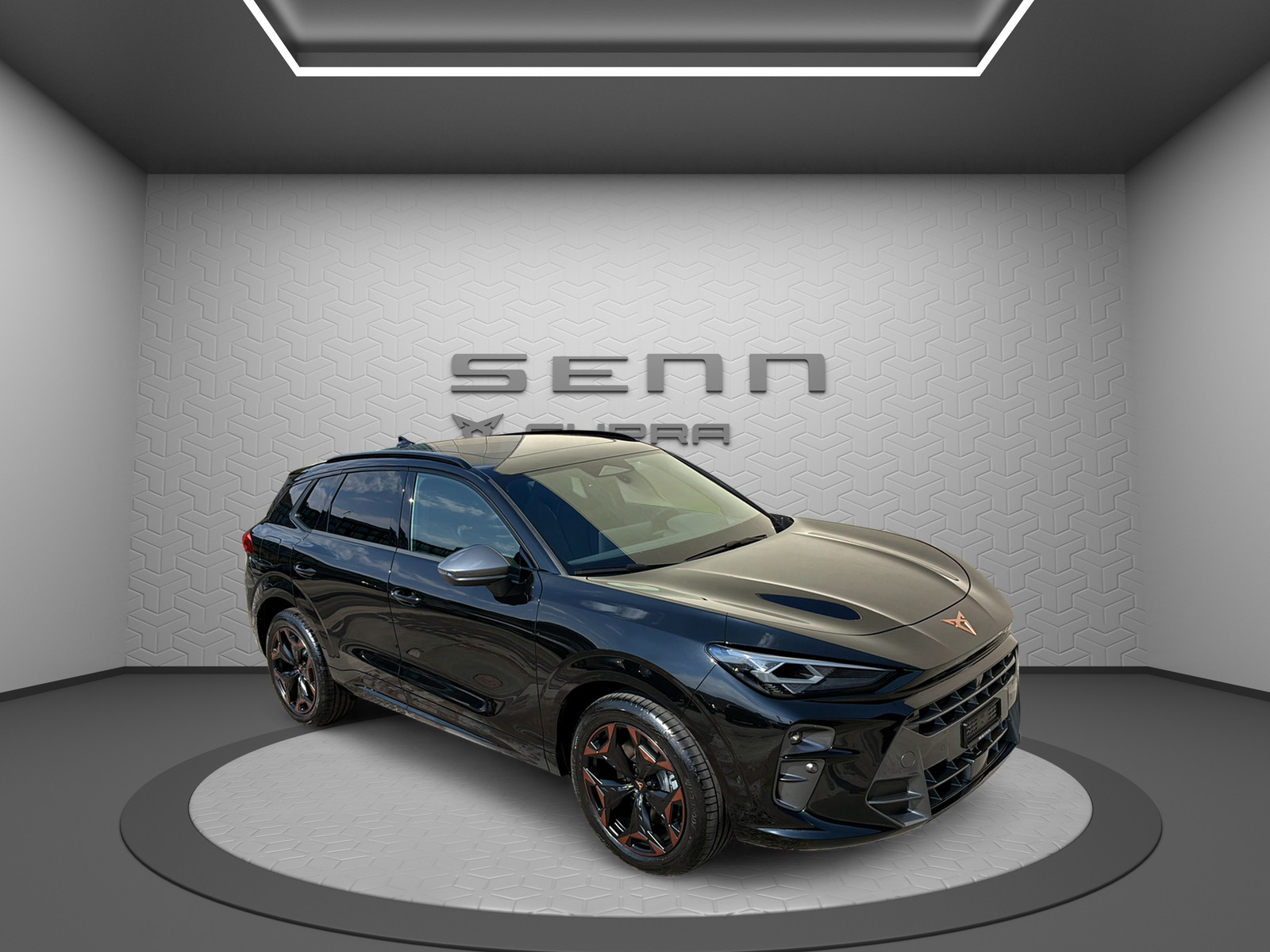 CUPRA Terramar 2.0 TSI DSG 4Drive-image-13