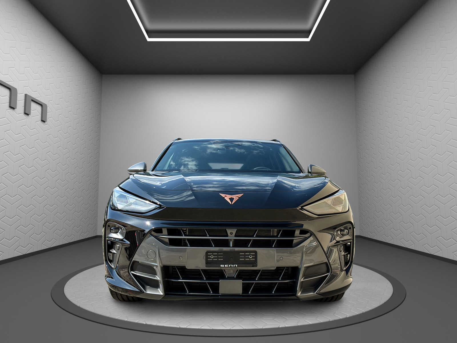 CUPRA Terramar 2.0 TSI DSG 4Drive-image-3