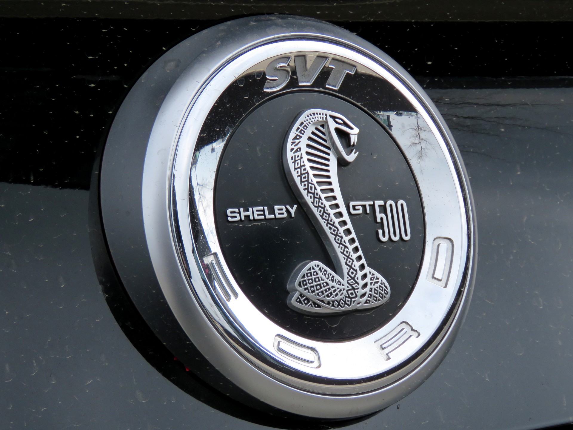 FORD MUSTANG-image-7
