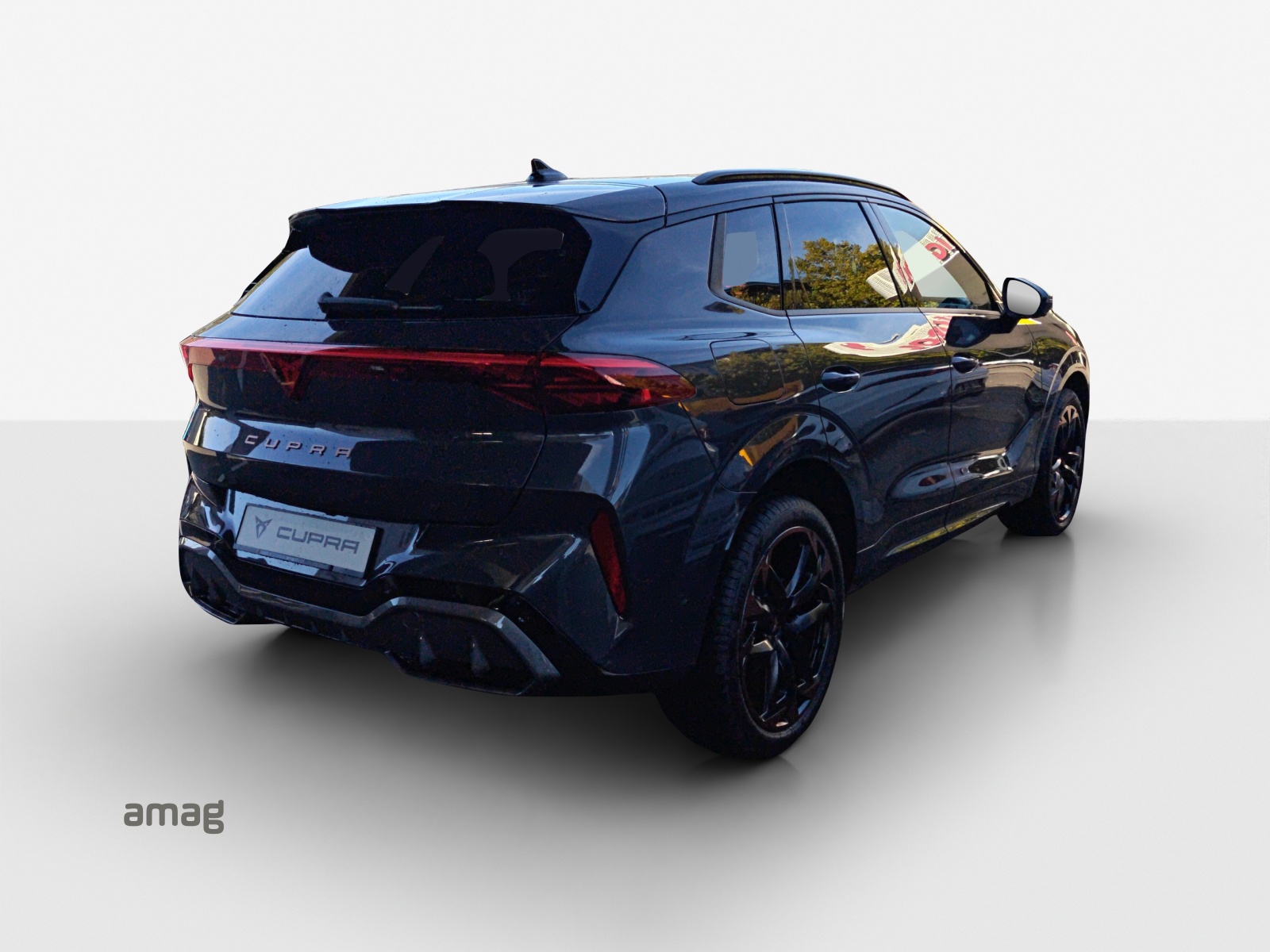 CUPRA Terramar 2.0 TSI DSG 4Drive-image-4