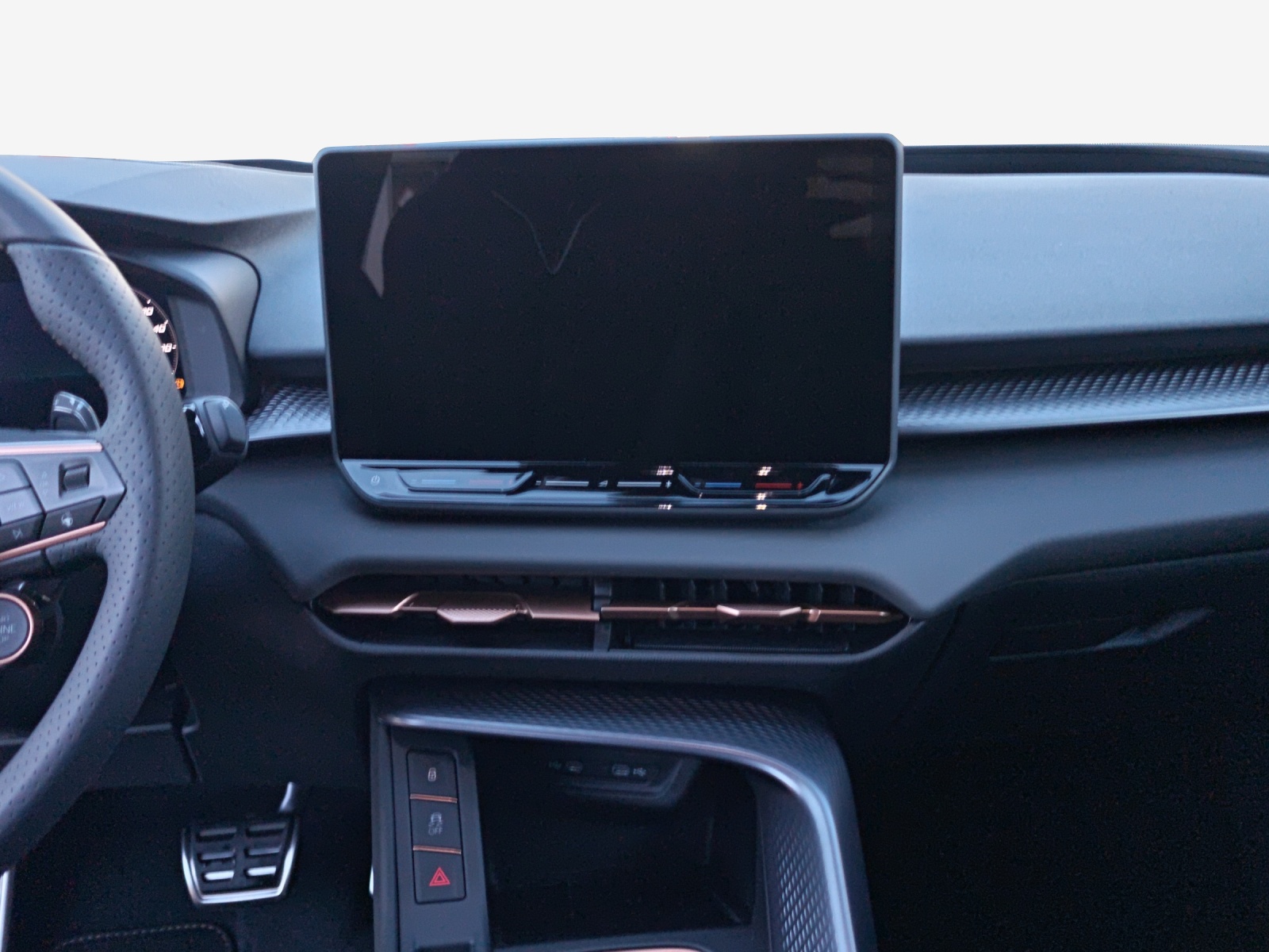 CUPRA Terramar 2.0 TSI DSG 4Drive-image-10