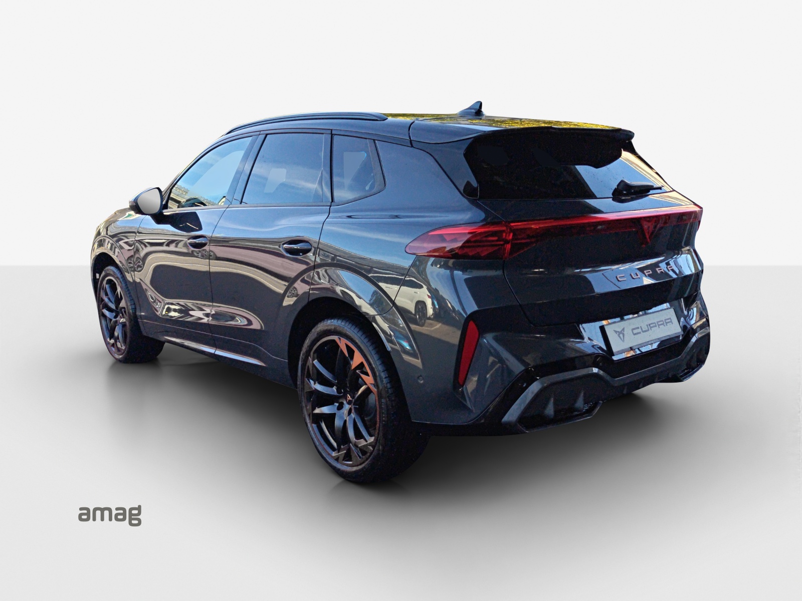 CUPRA Terramar 2.0 TSI DSG 4Drive-image-2