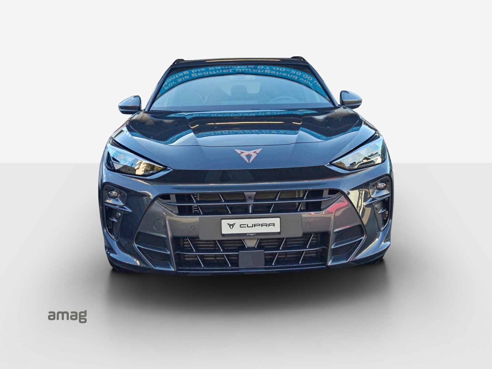 CUPRA Terramar 2.0 TSI DSG 4Drive-image-6