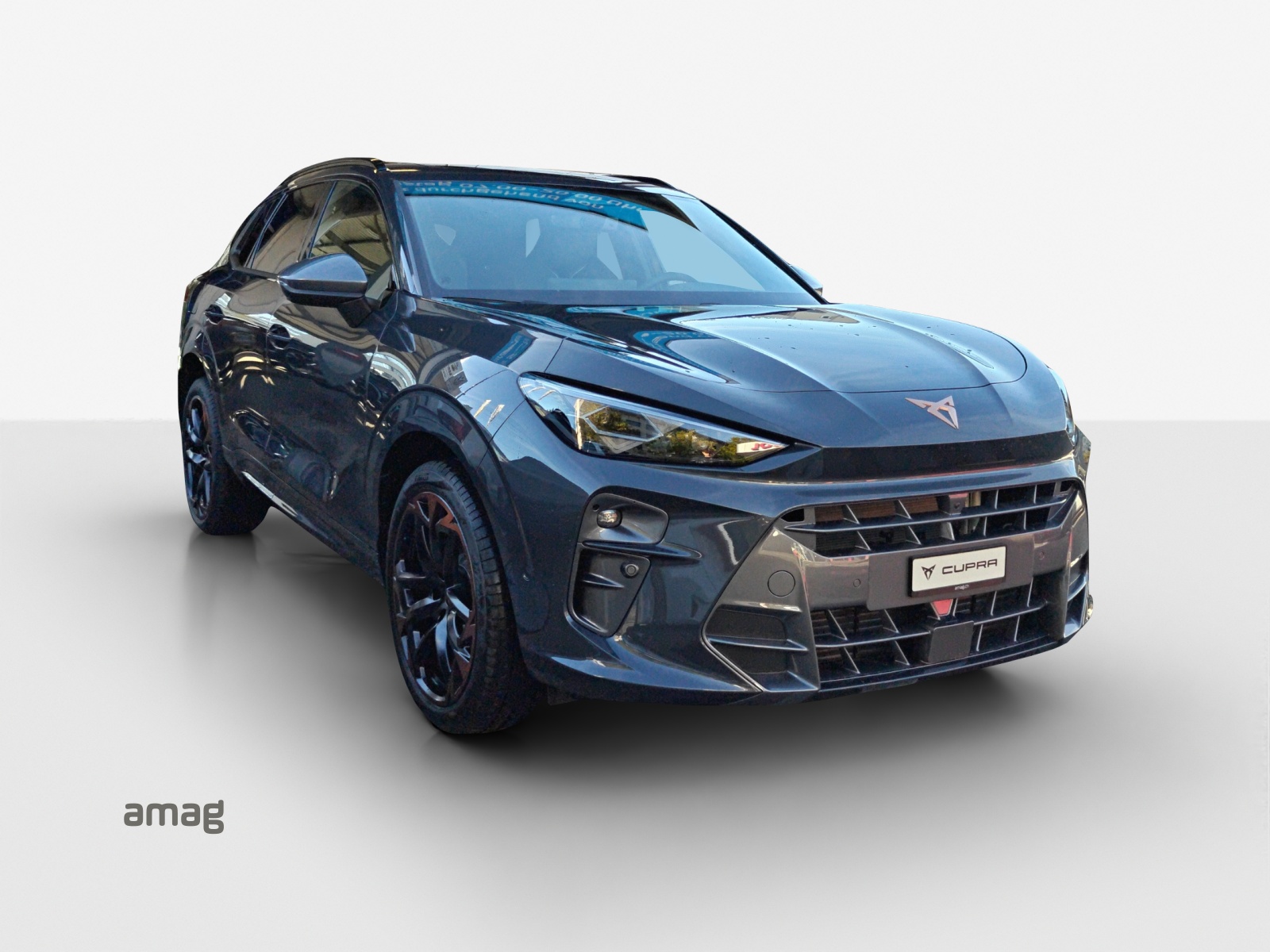 CUPRA Terramar 2.0 TSI DSG 4Drive-image-5