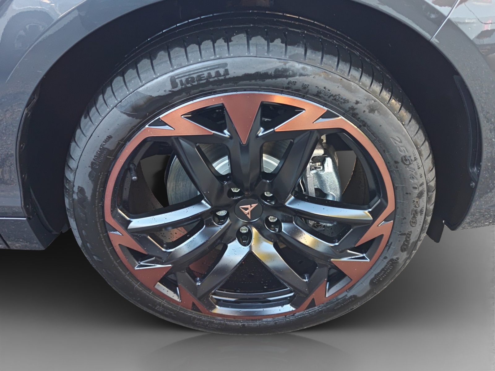 CUPRA Terramar 2.0 TSI DSG 4Drive-image-15
