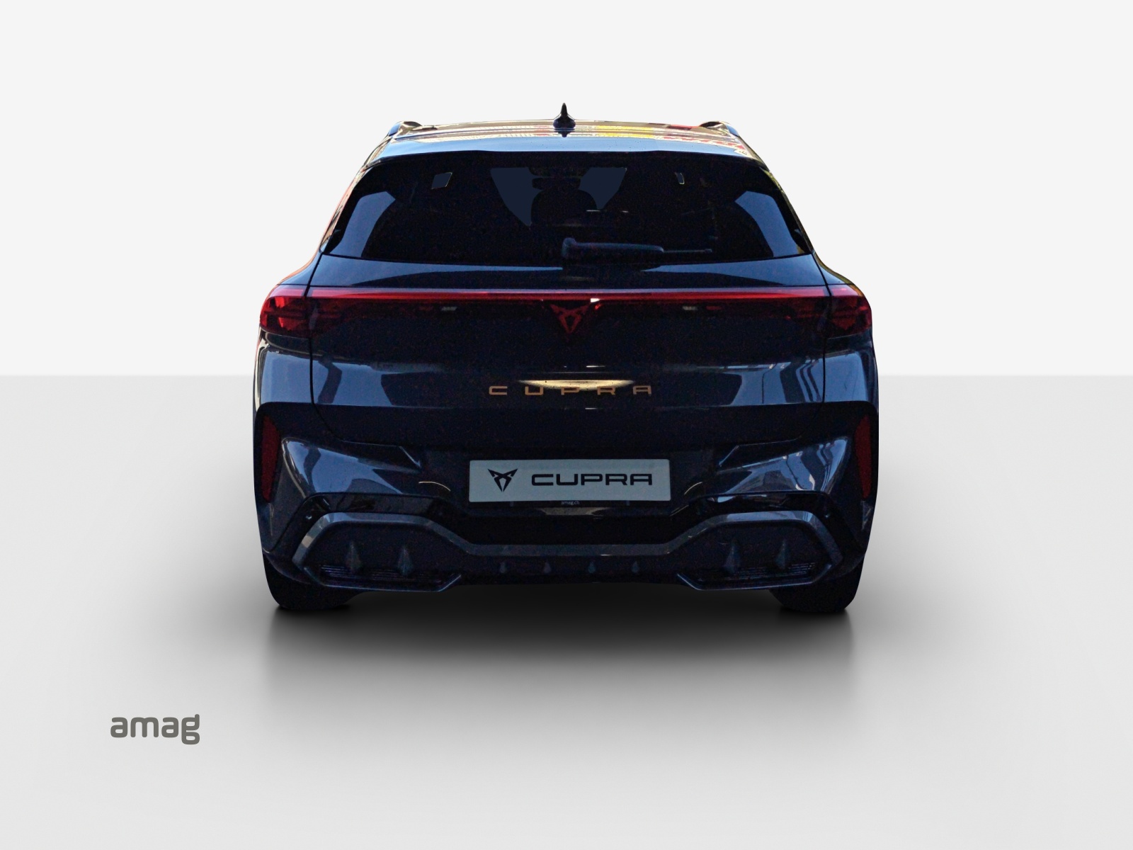 CUPRA Terramar 2.0 TSI DSG 4Drive-image-3