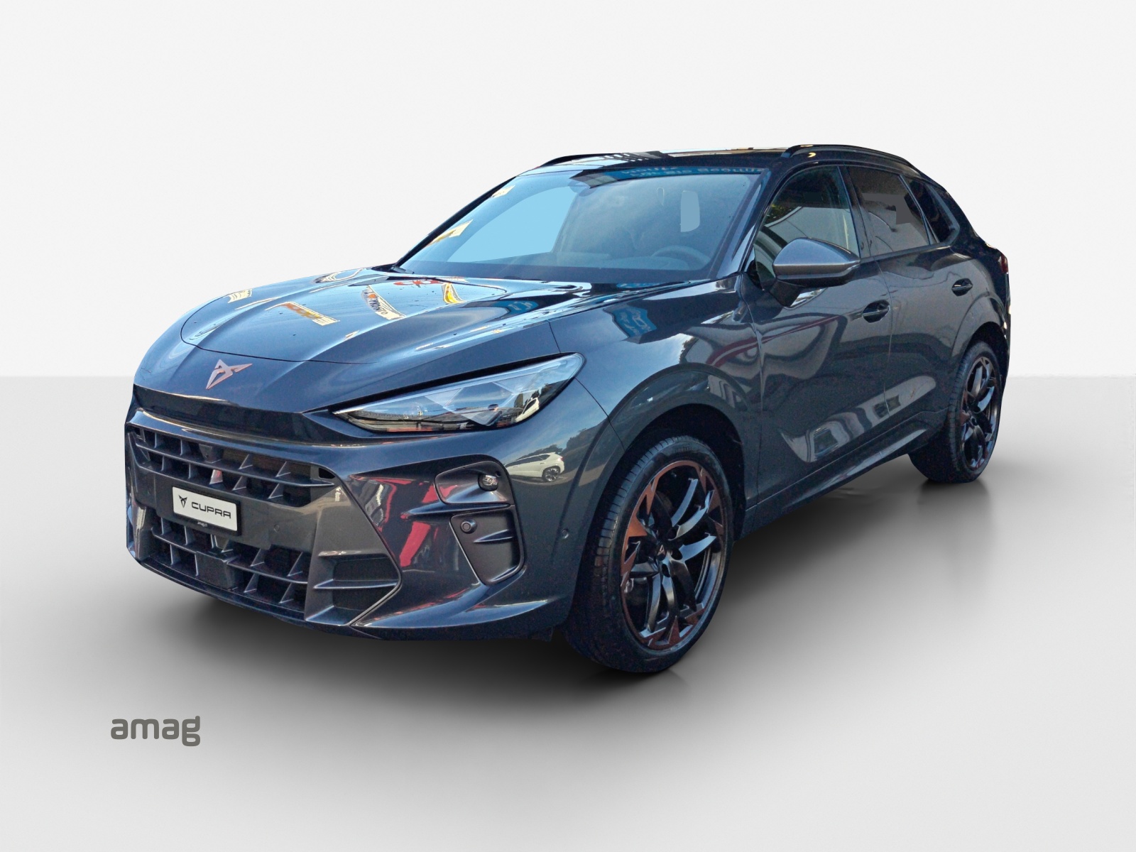 CUPRA Terramar 2.0 TSI DSG 4Drive-image-0