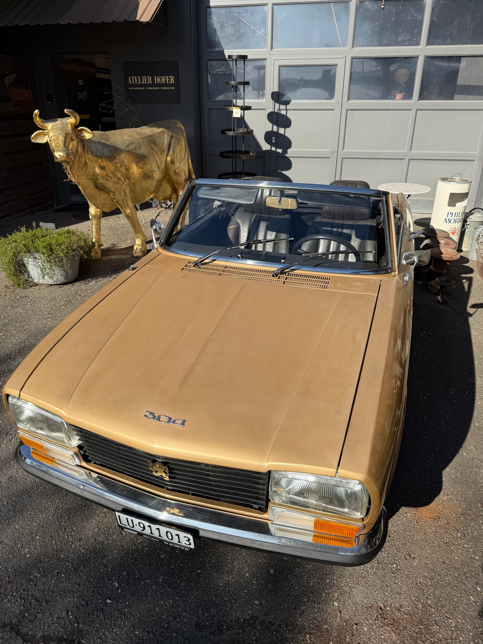 PEUGEOT S-image-1