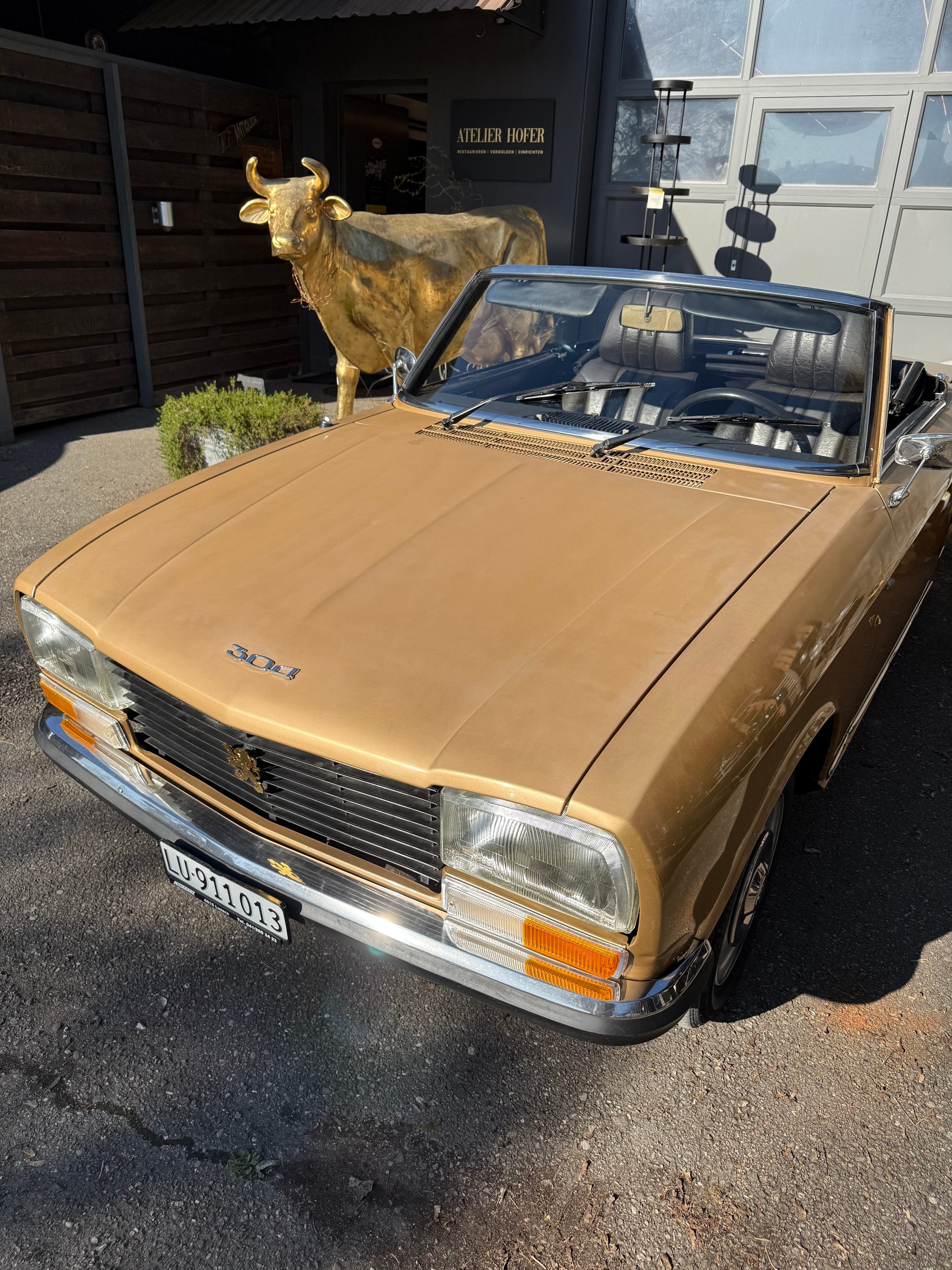 PEUGEOT S-image-2