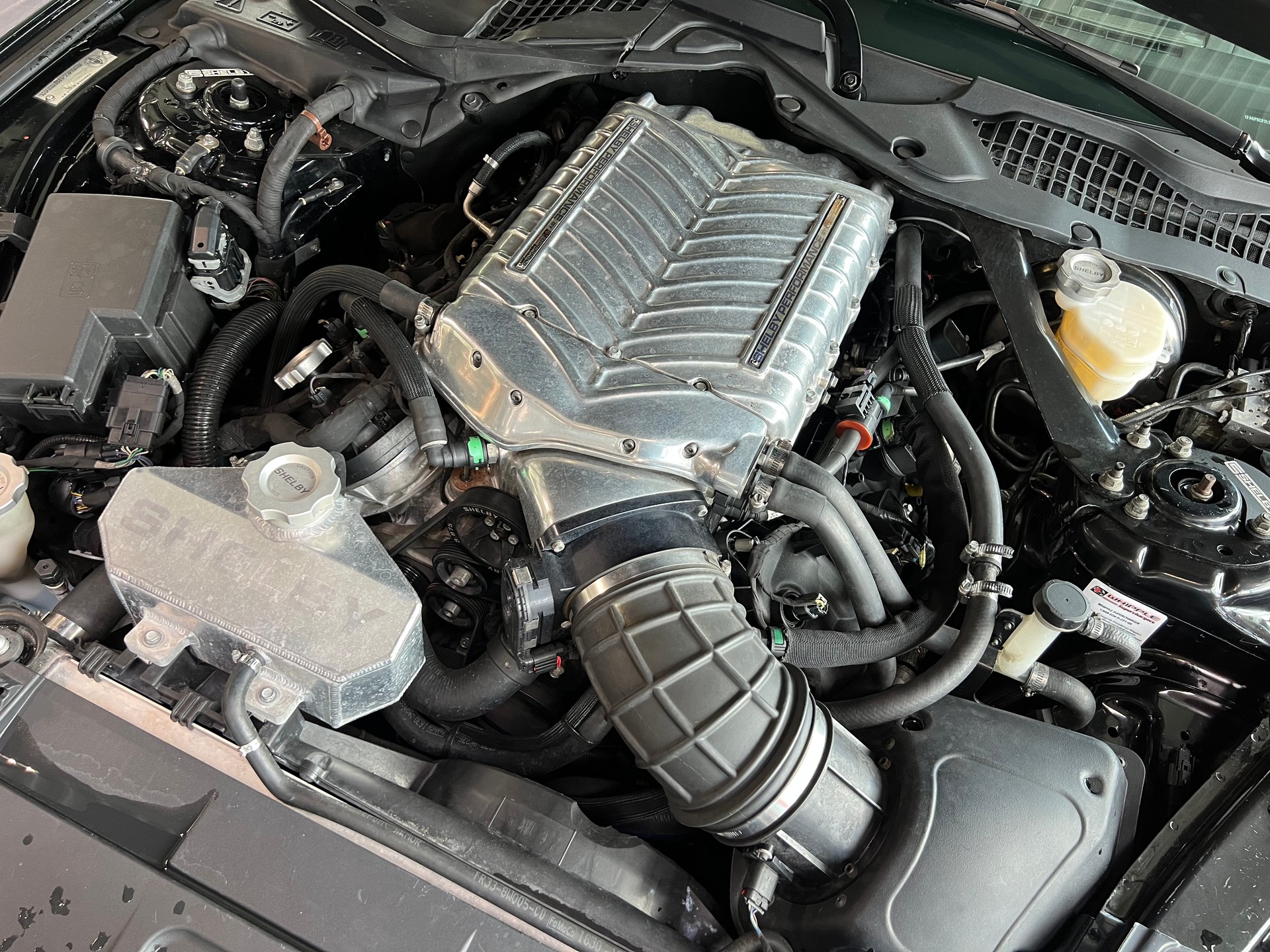 FORD Shelby Super Snake 5.0 V8 Kompressor-image-31