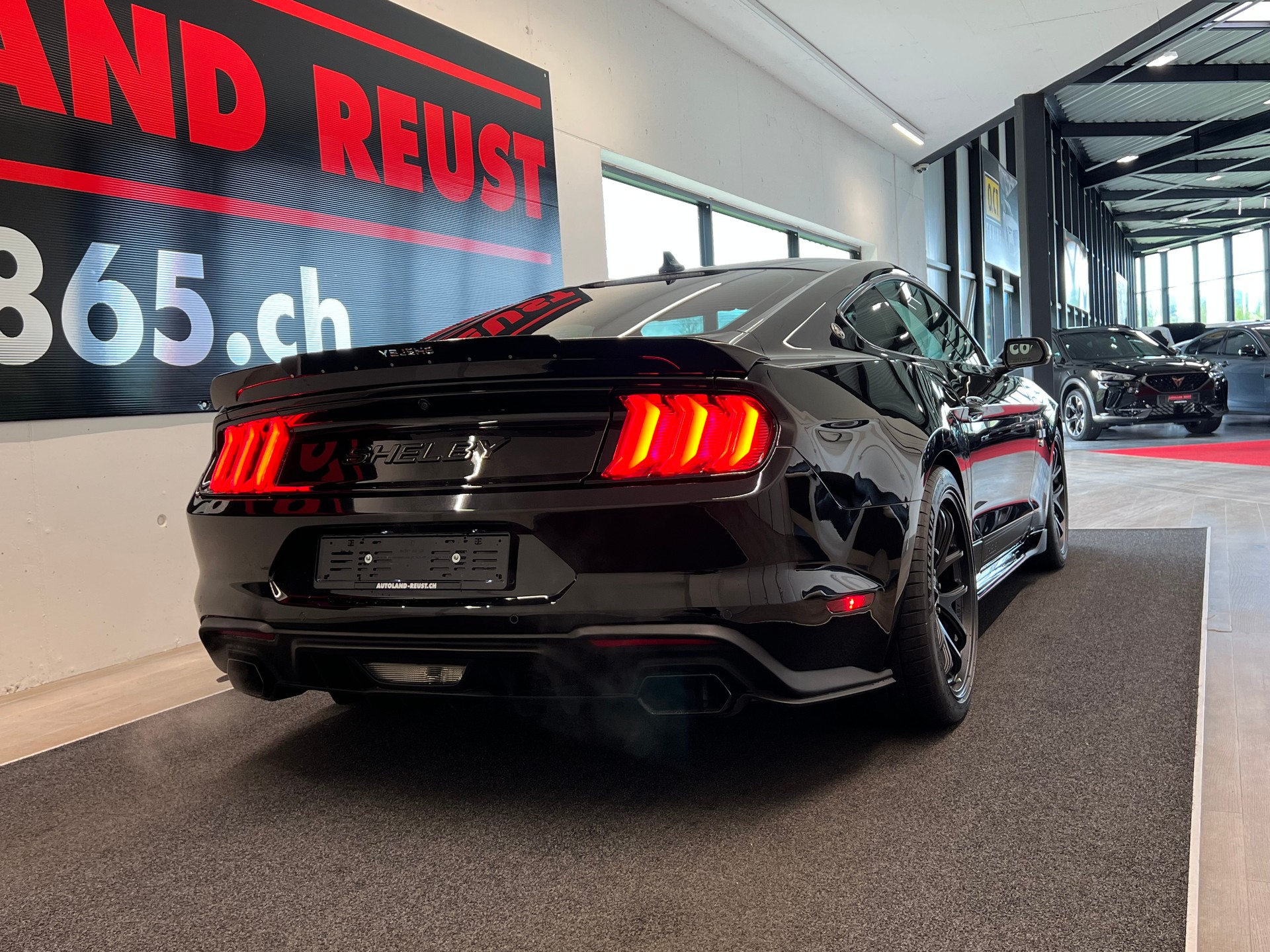 FORD Shelby Super Snake 5.0 V8 Kompressor-image-10