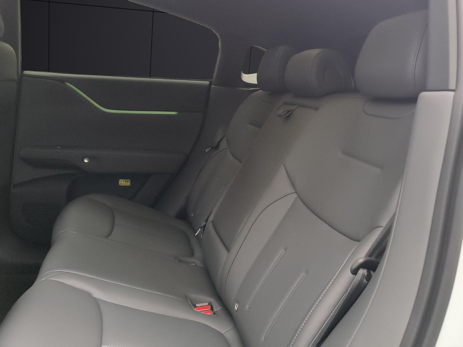 XPENG G6 Performance AWD-image-12