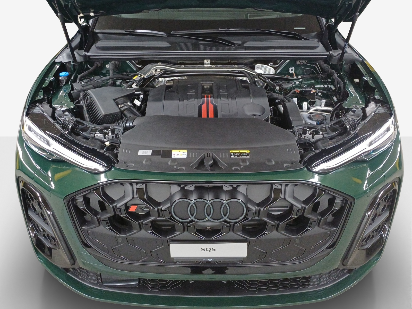 AUDI SQ5 TFSI quattro S-tronic-image-14