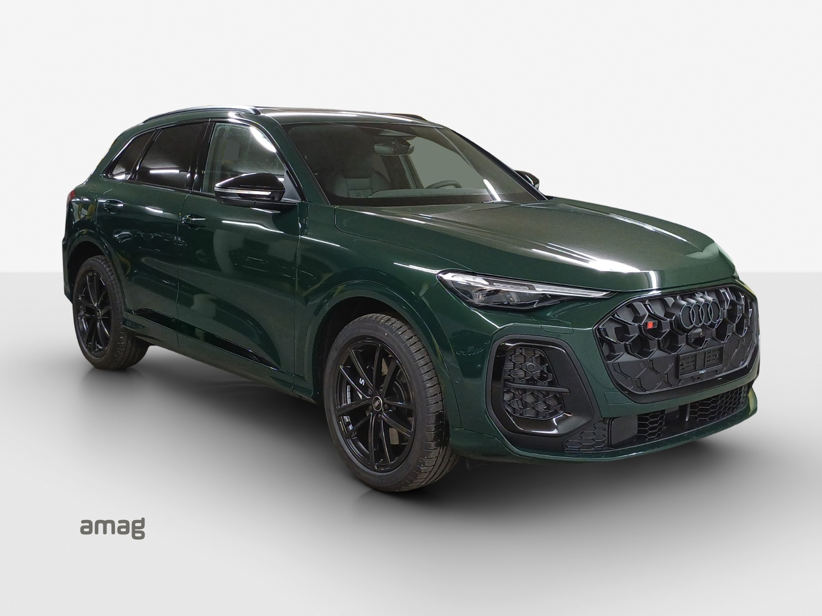 AUDI SQ5 TFSI quattro S-tronic-image-5