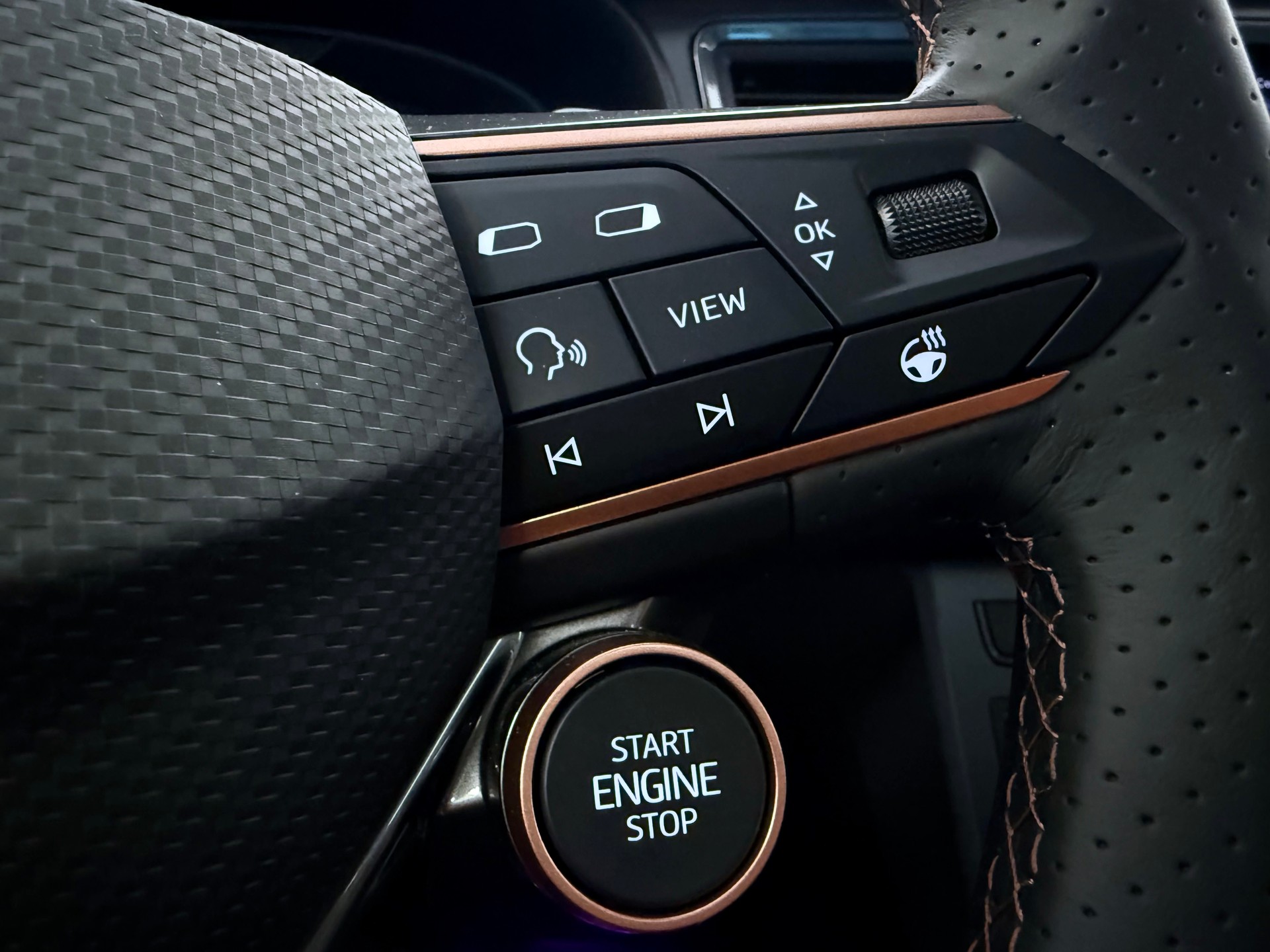 CUPRA Ateca 2.0TSI VZ 4Drive DSG "Anhängerkupplung"-image-17