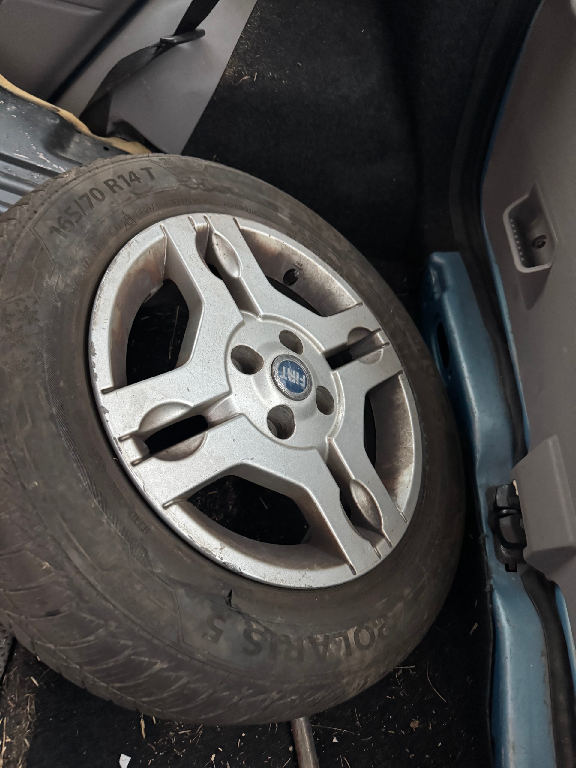 FIAT Panda 1.2 4x4 (Trekking)-image-7