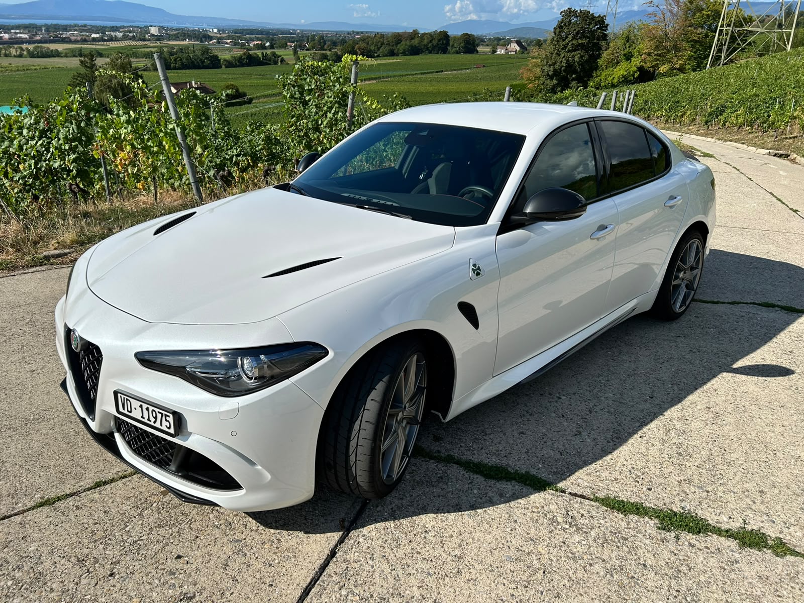 ALFA ROMEO 2.9 V6 Biturbo Quadrifoglio Q Wheels-image-3