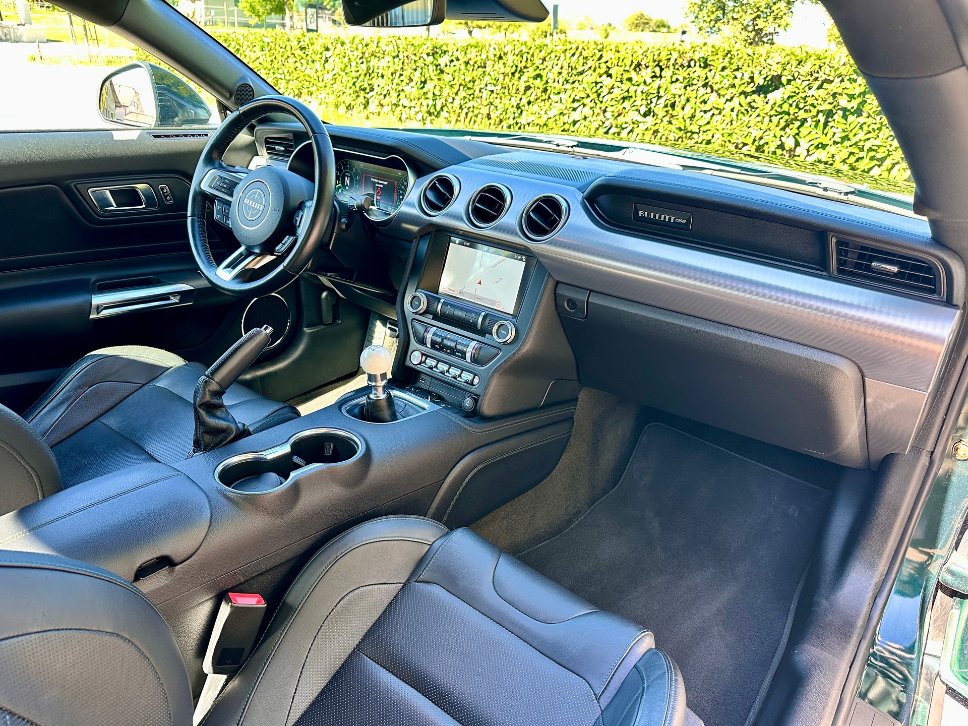 FORD Mustang Fastback 5.0 V8 BULLITT-image-9