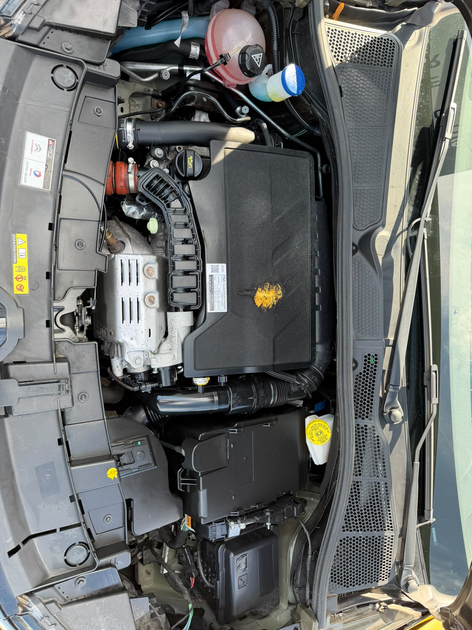 CITROEN C4 Cactus 1.2 Pure Tech Feel-image-12