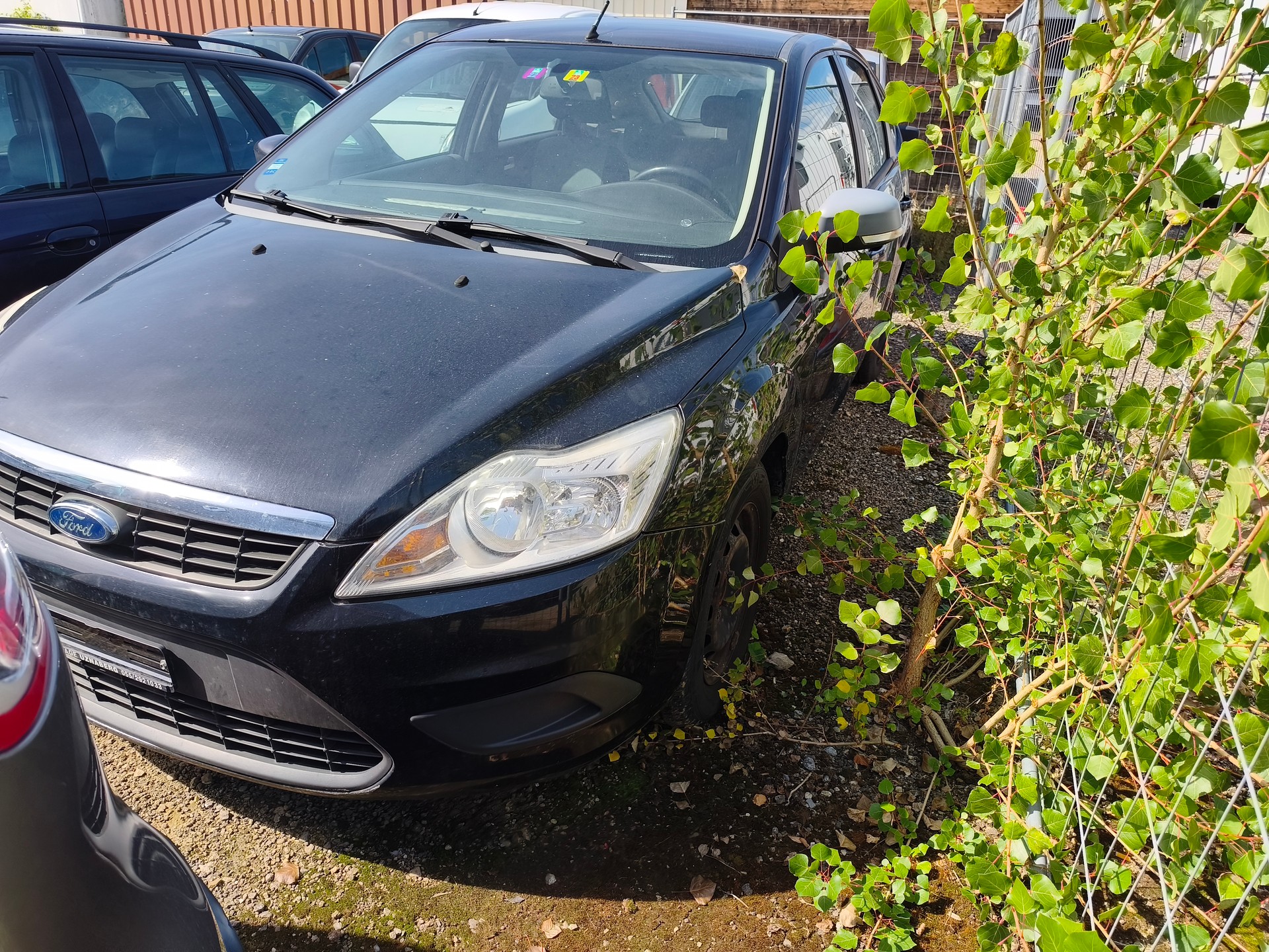FORD Focus 1.6i VCT Carving-image-1