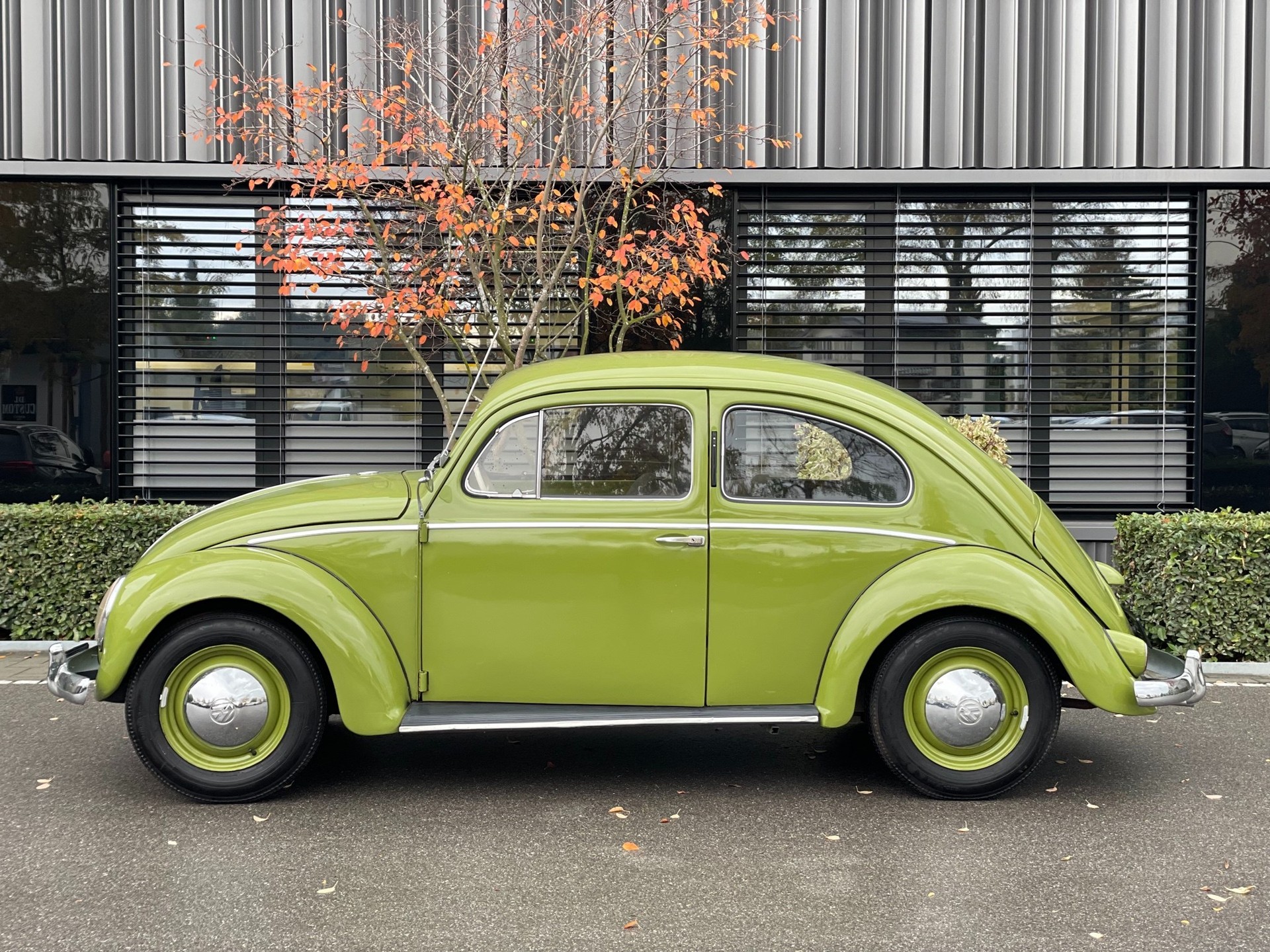 VW Käfer Brezel-image-1