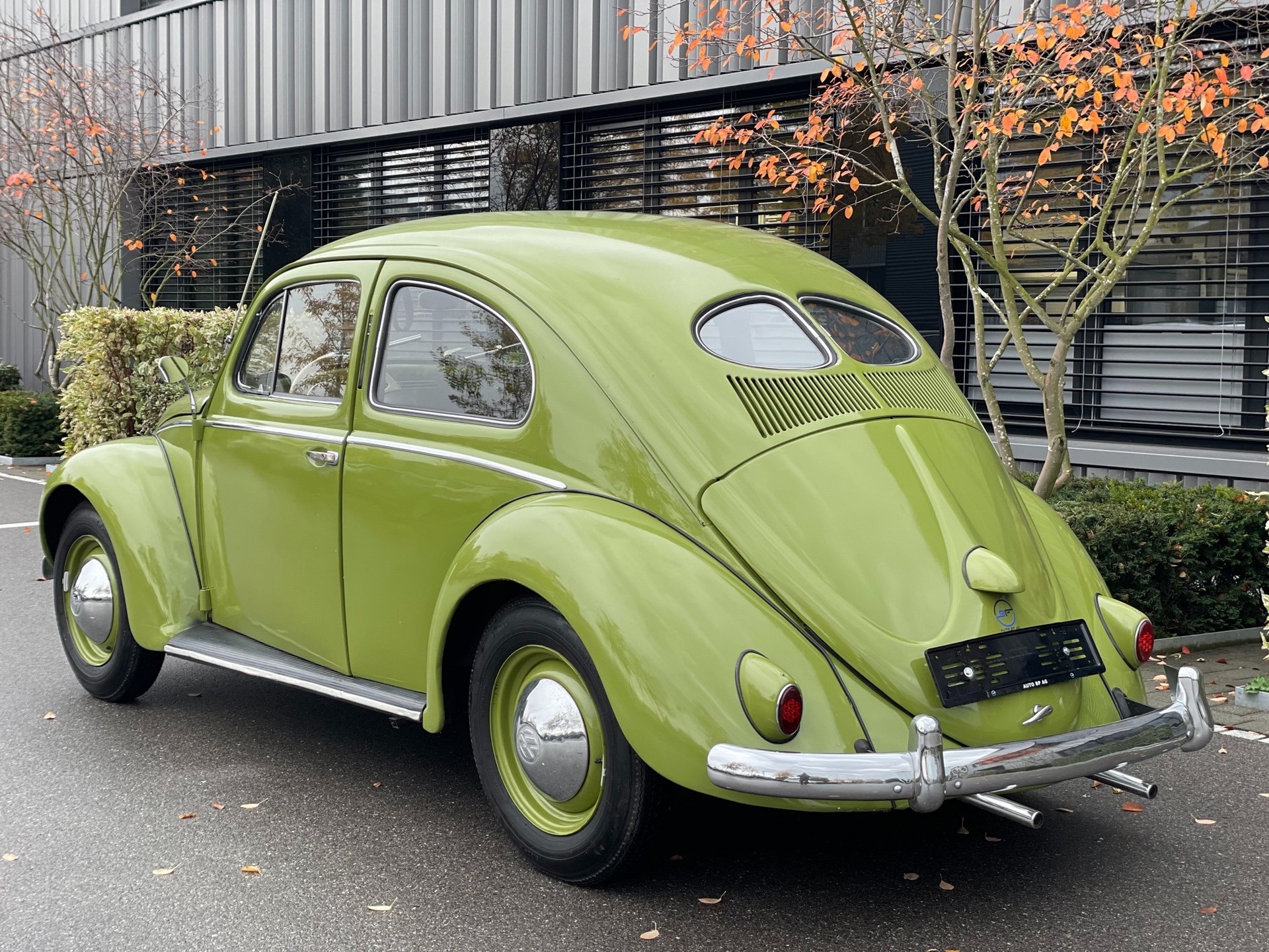 VW Käfer Brezel-image-10