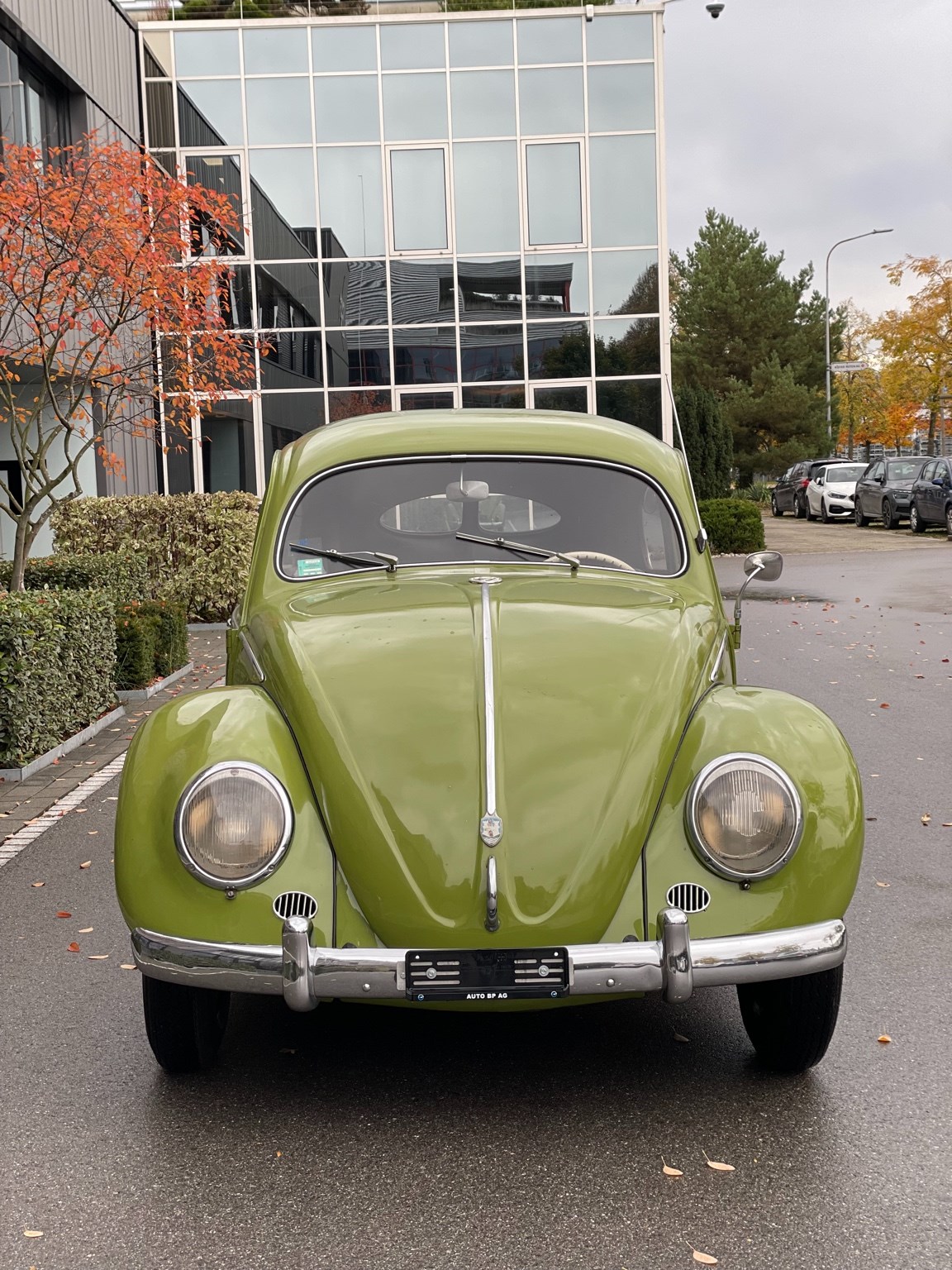 VW Käfer Brezel-image-11