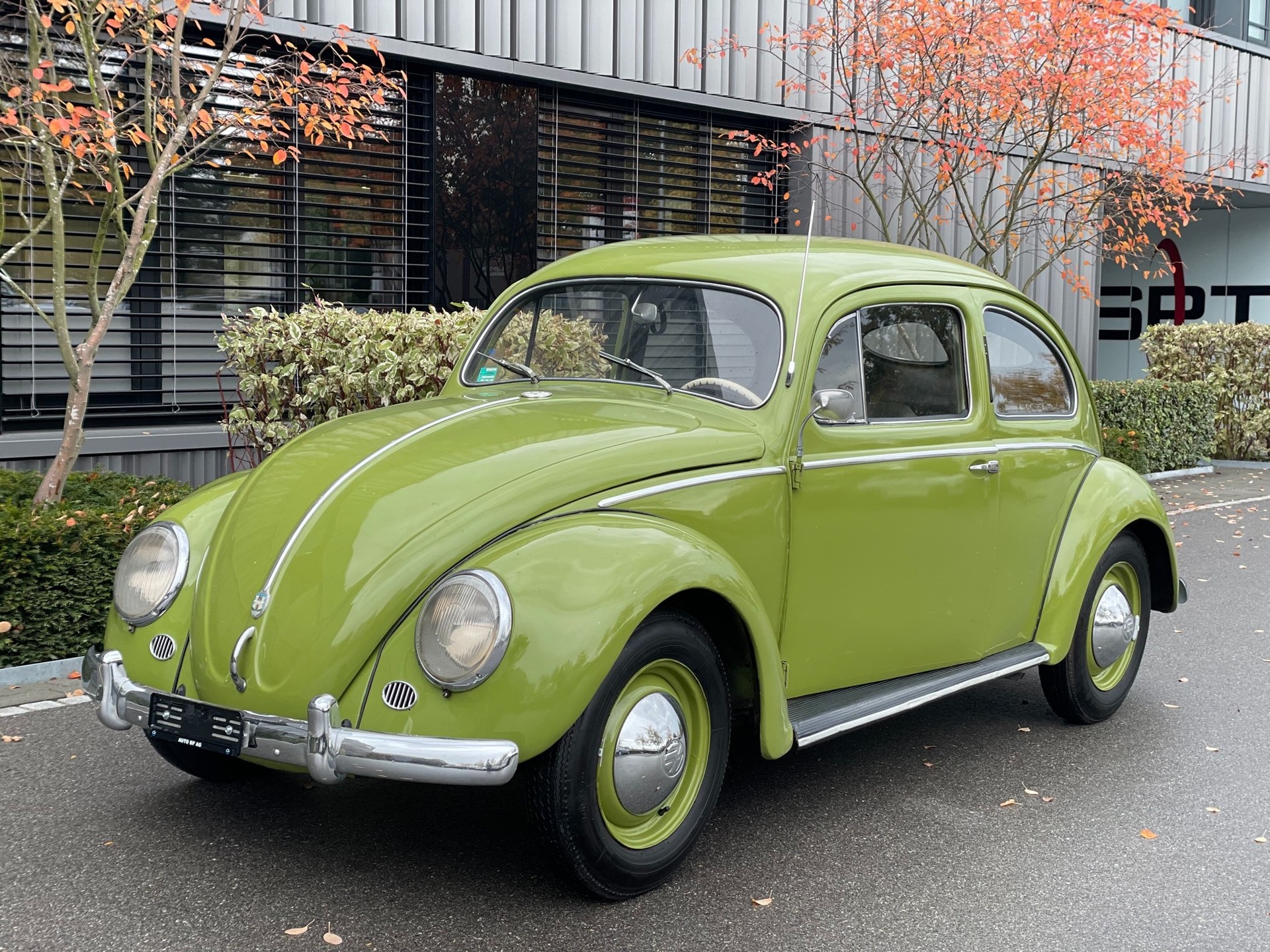 VW Käfer Brezel-image-0