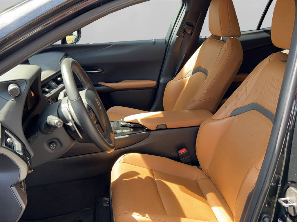 LEXUS UX 300e Excellence 41582/001-image-7