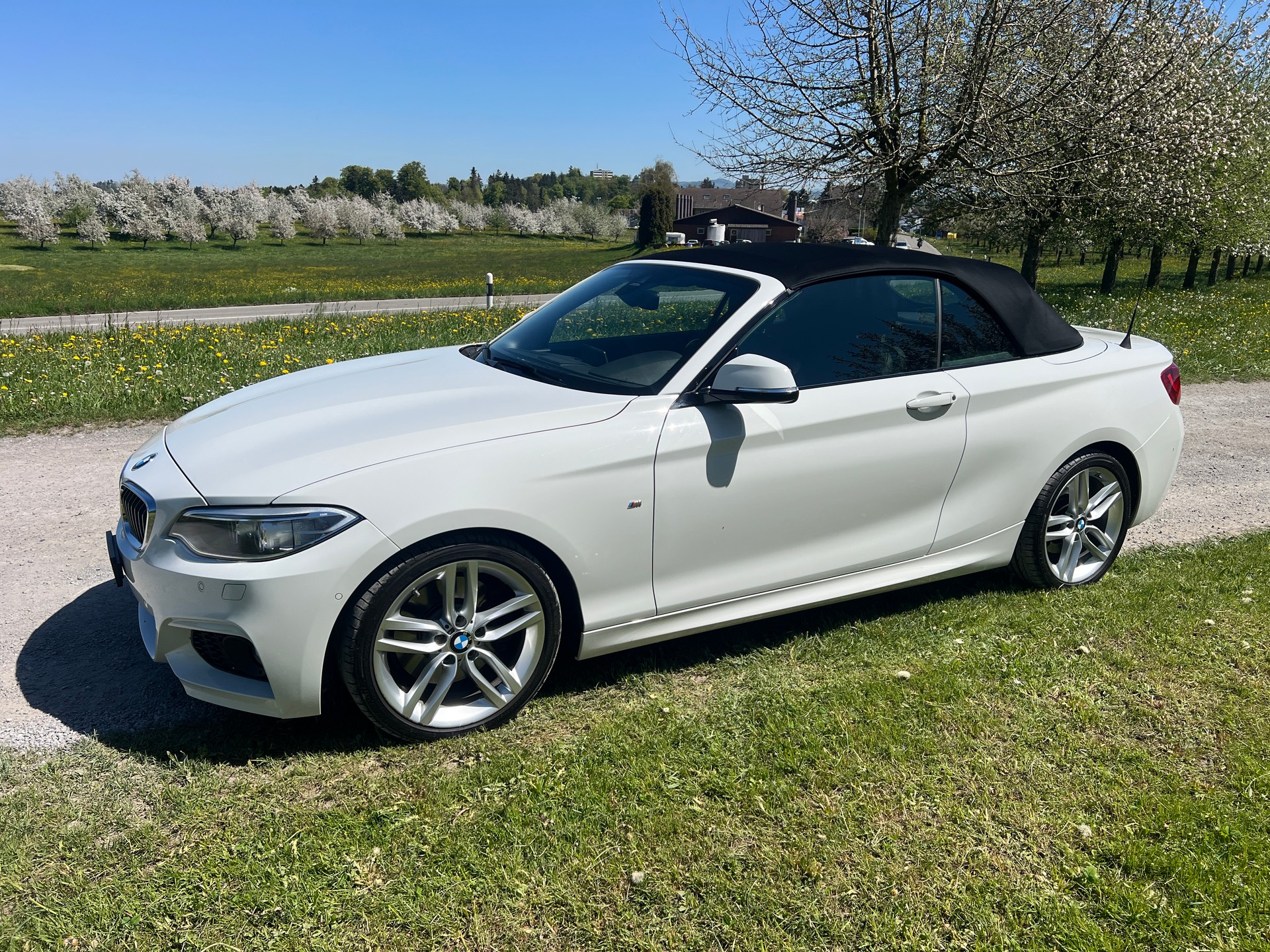 BMW 228i M Sport Steptronic-image-12