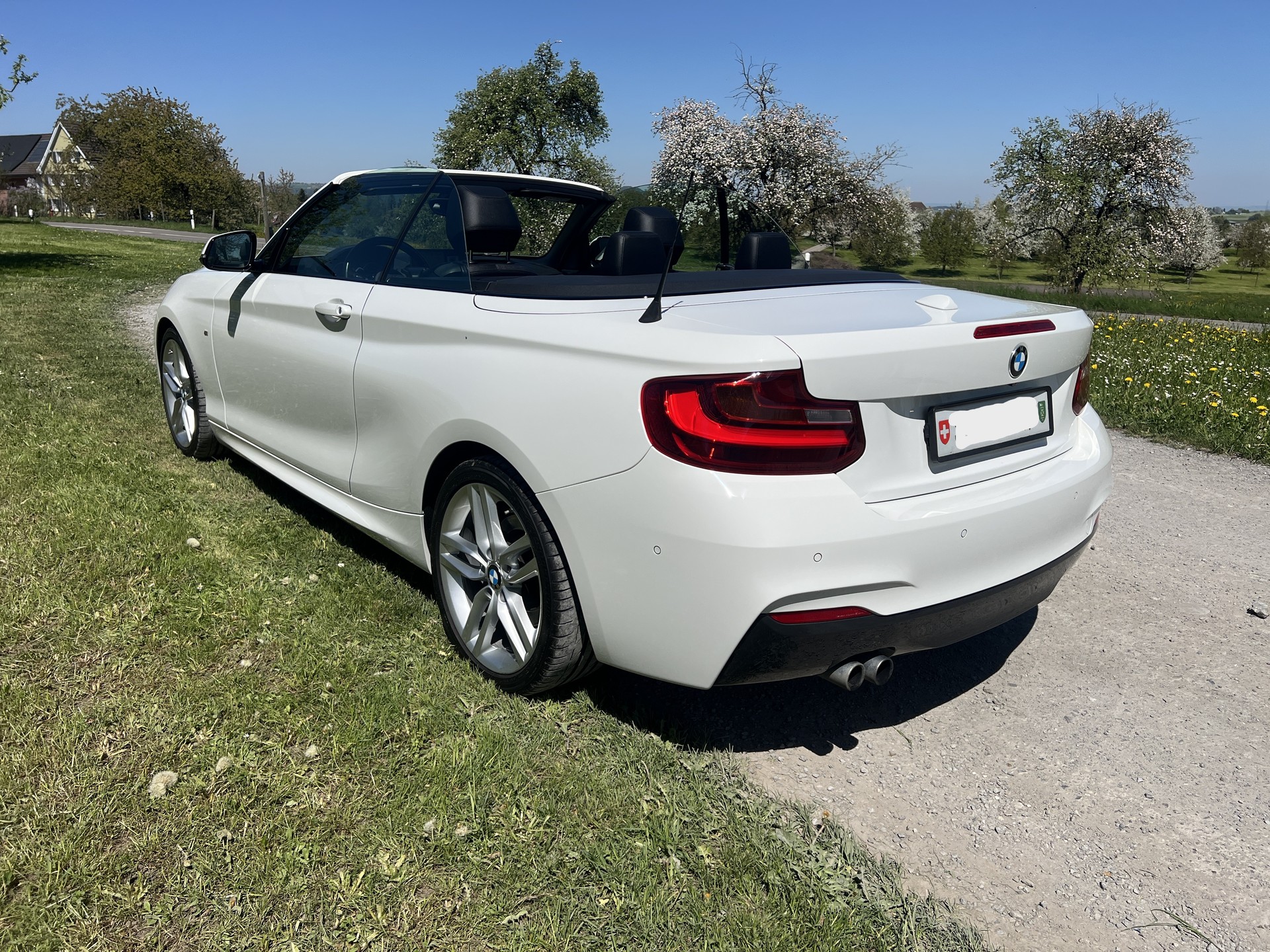 BMW 228i M Sport Steptronic-image-4