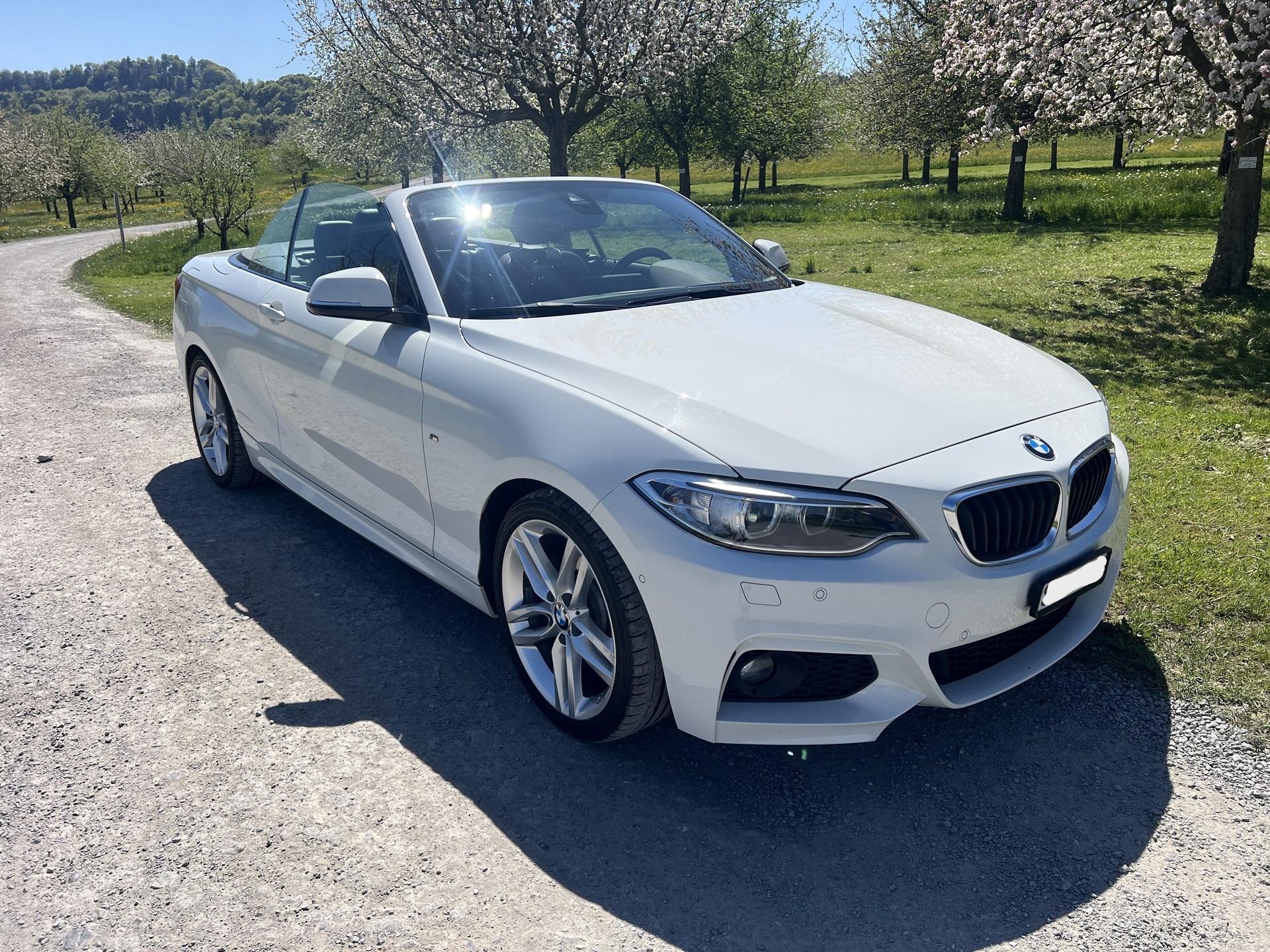 BMW 228i M Sport Steptronic-image-2