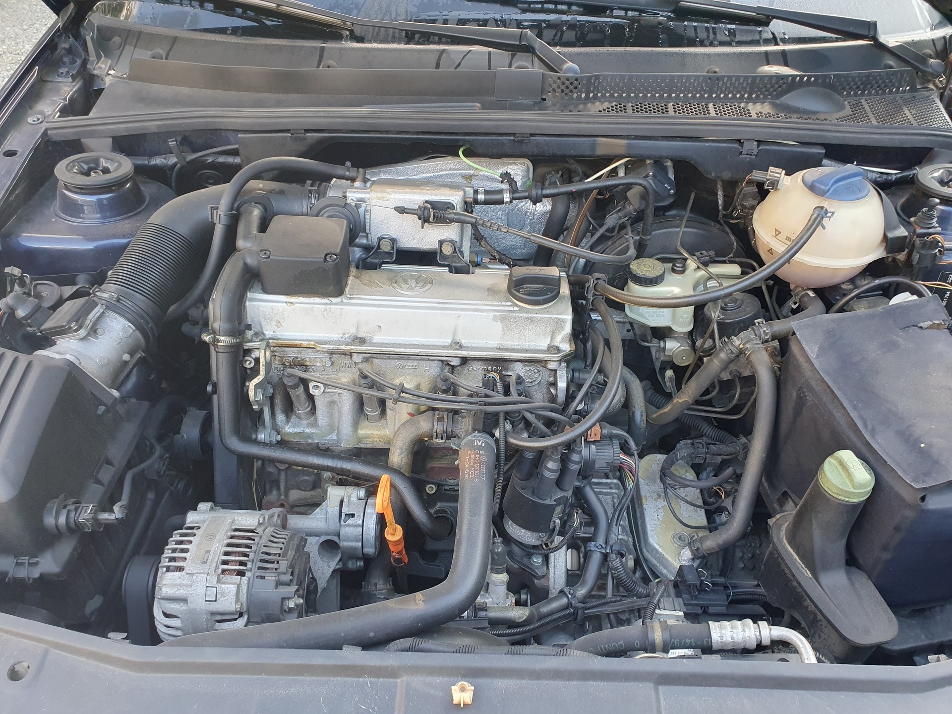 VW Golf Cabriolet 2000 Swiss Classic-image-14