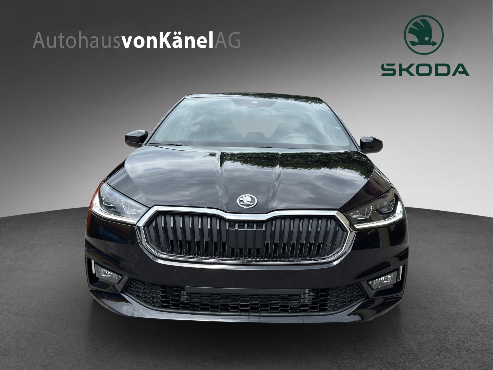 SKODA Fabia 1.0 TSI Dynamic DSG-image-3
