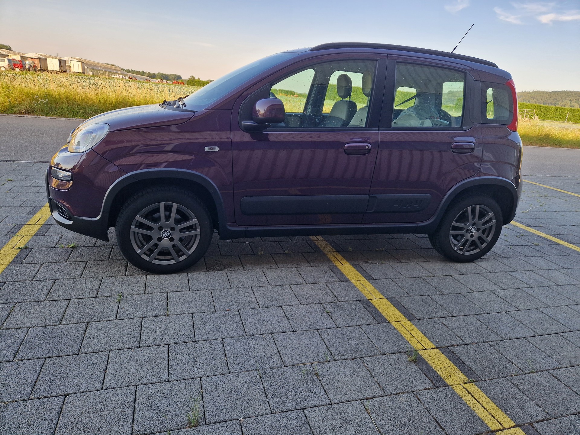 FIAT Panda 0.9 Twinair Turbo Antartica 4x4-image-4