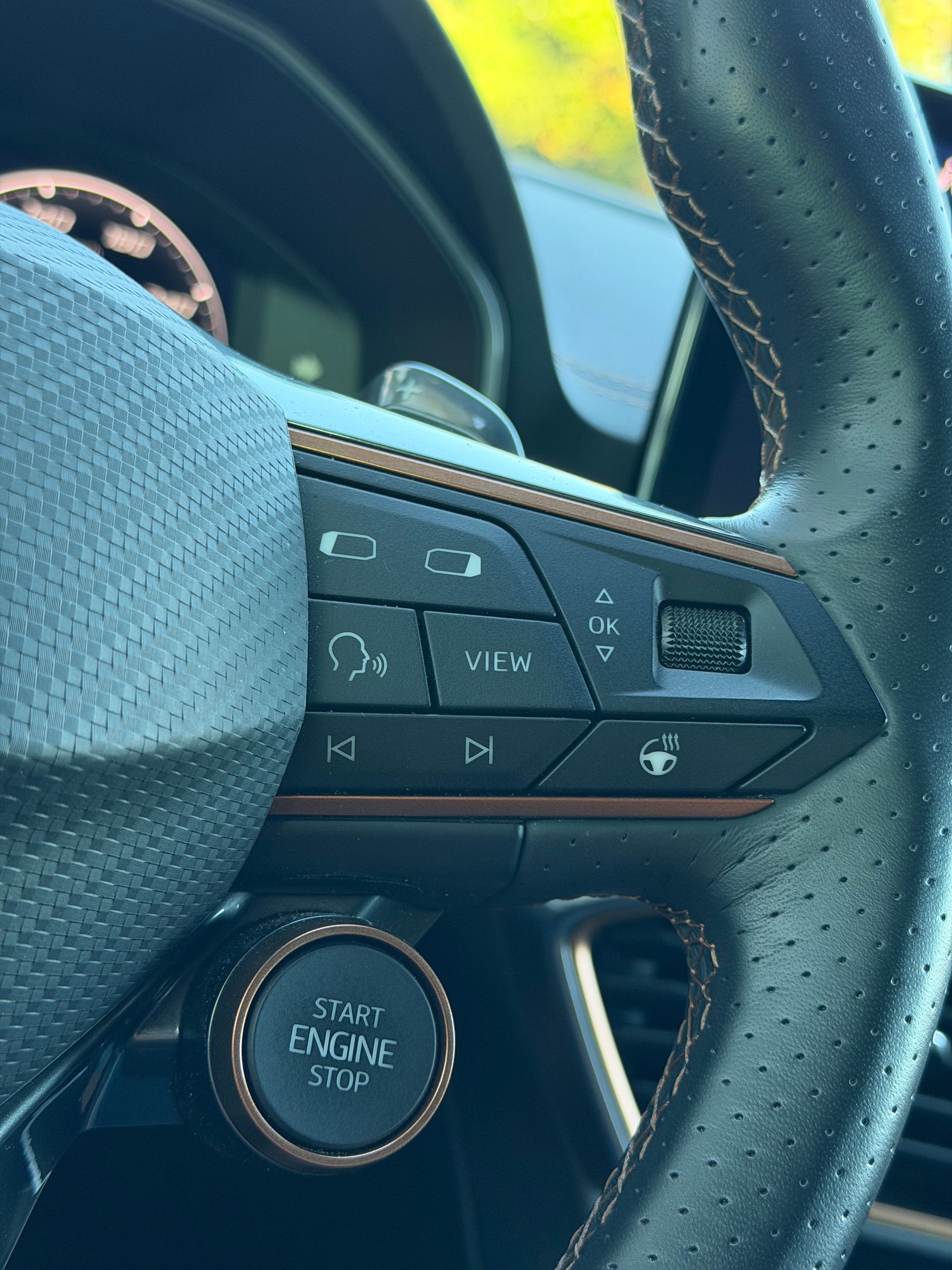 CUPRA Formentor 2.5TSI VZ5 4Drive DSG-image-23