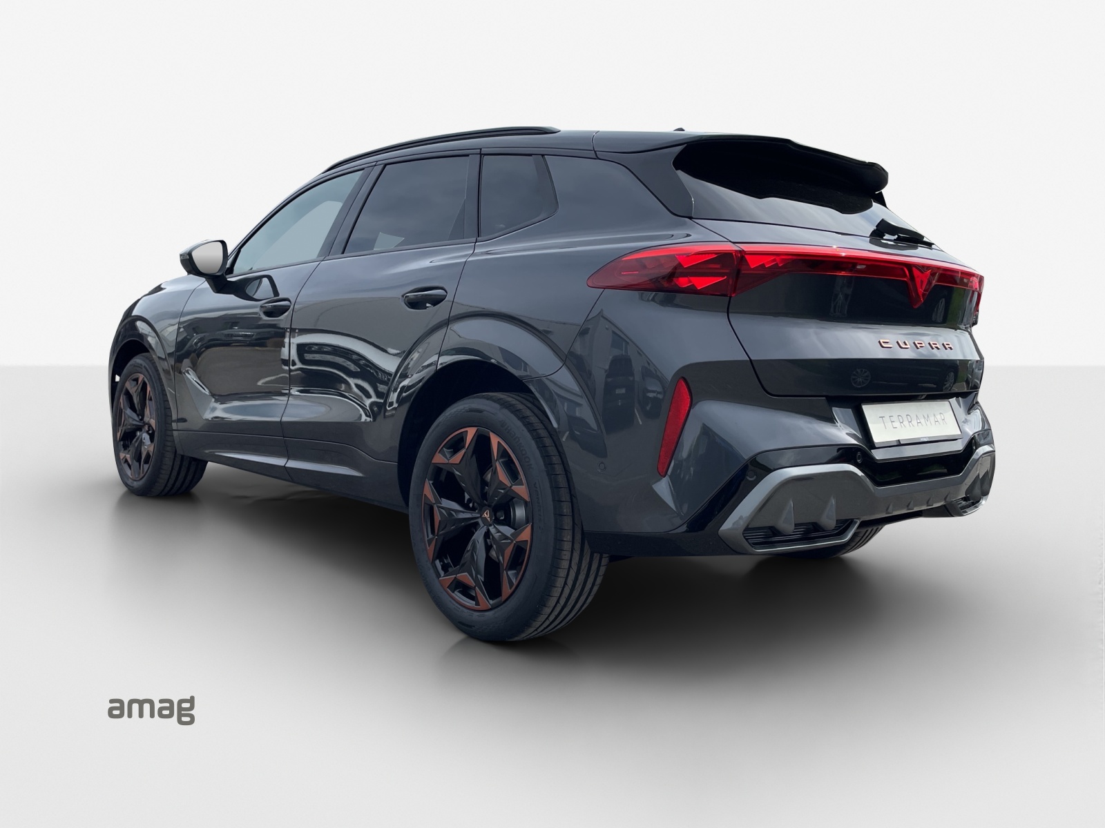 CUPRA Terramar 2.0 TSI DSG 4Drive VZ-showroom-element-2