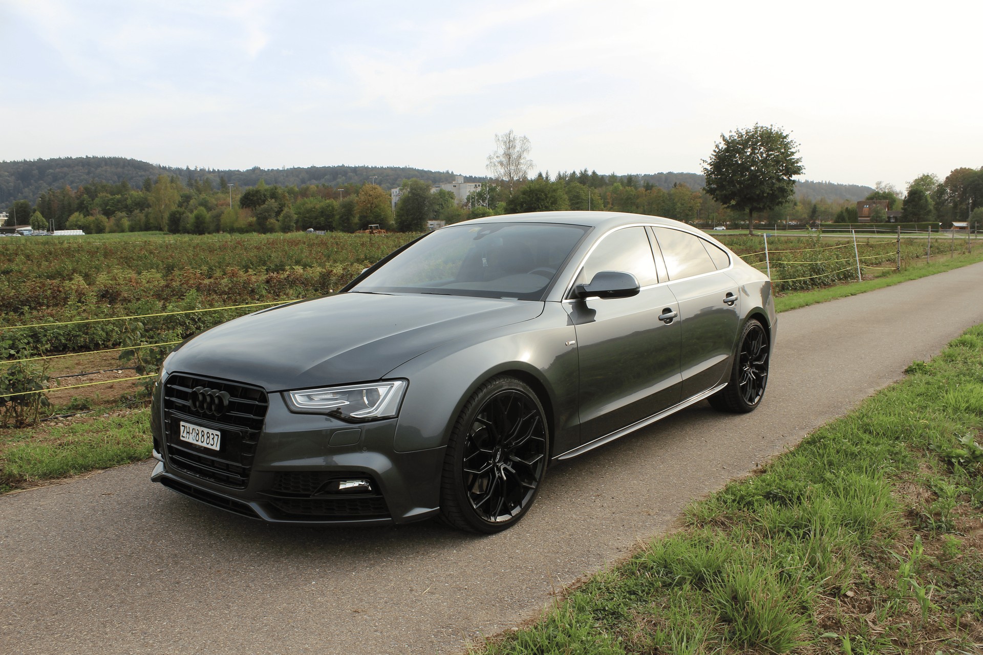 AUDI 3.0 V6 TDI 245 quat. S-Tr. Eu6-image-1