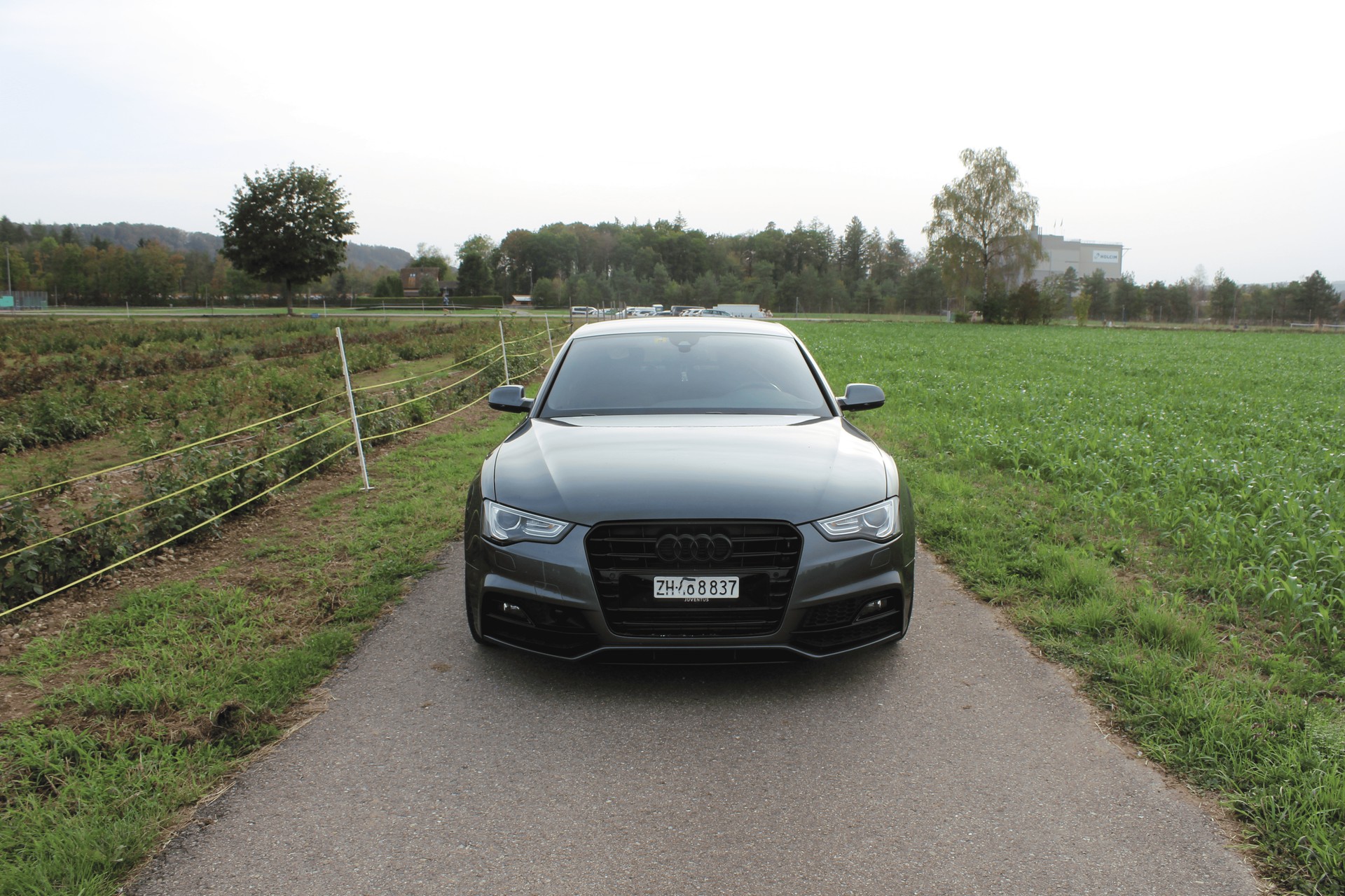 AUDI 3.0 V6 TDI 245 quat. S-Tr. Eu6